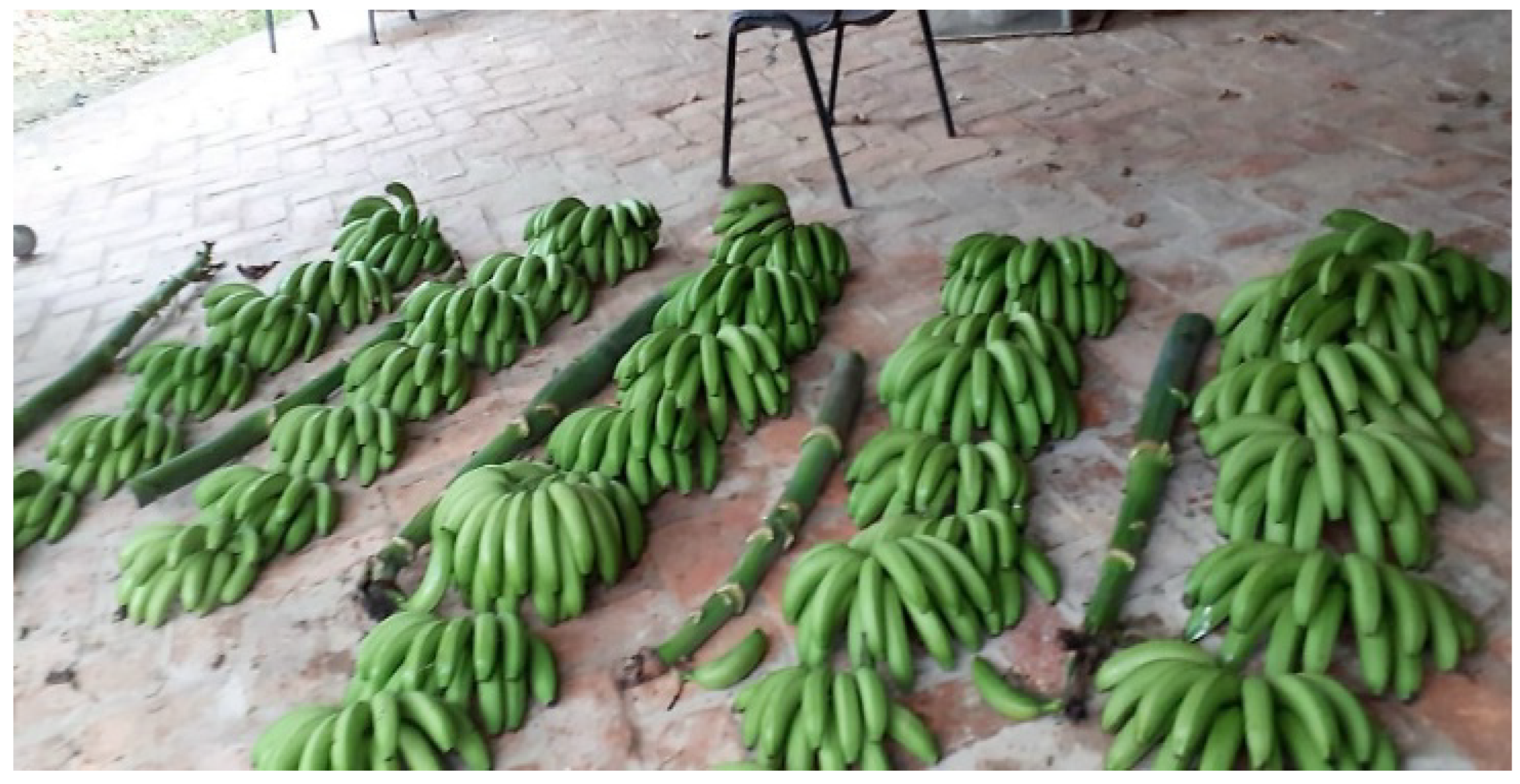 Agriculture 14 01904 g001