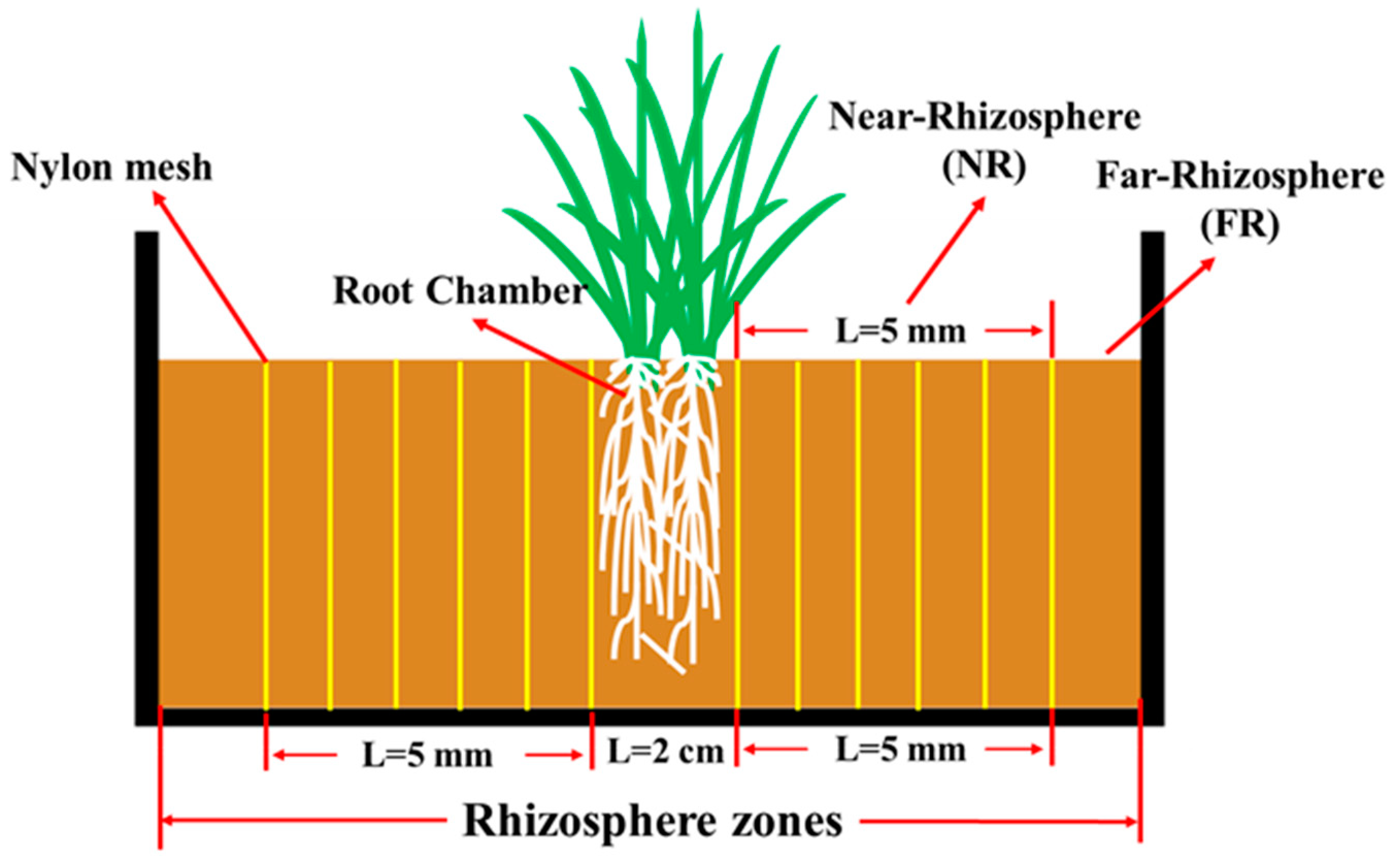 Agriculture 14 01946 g001