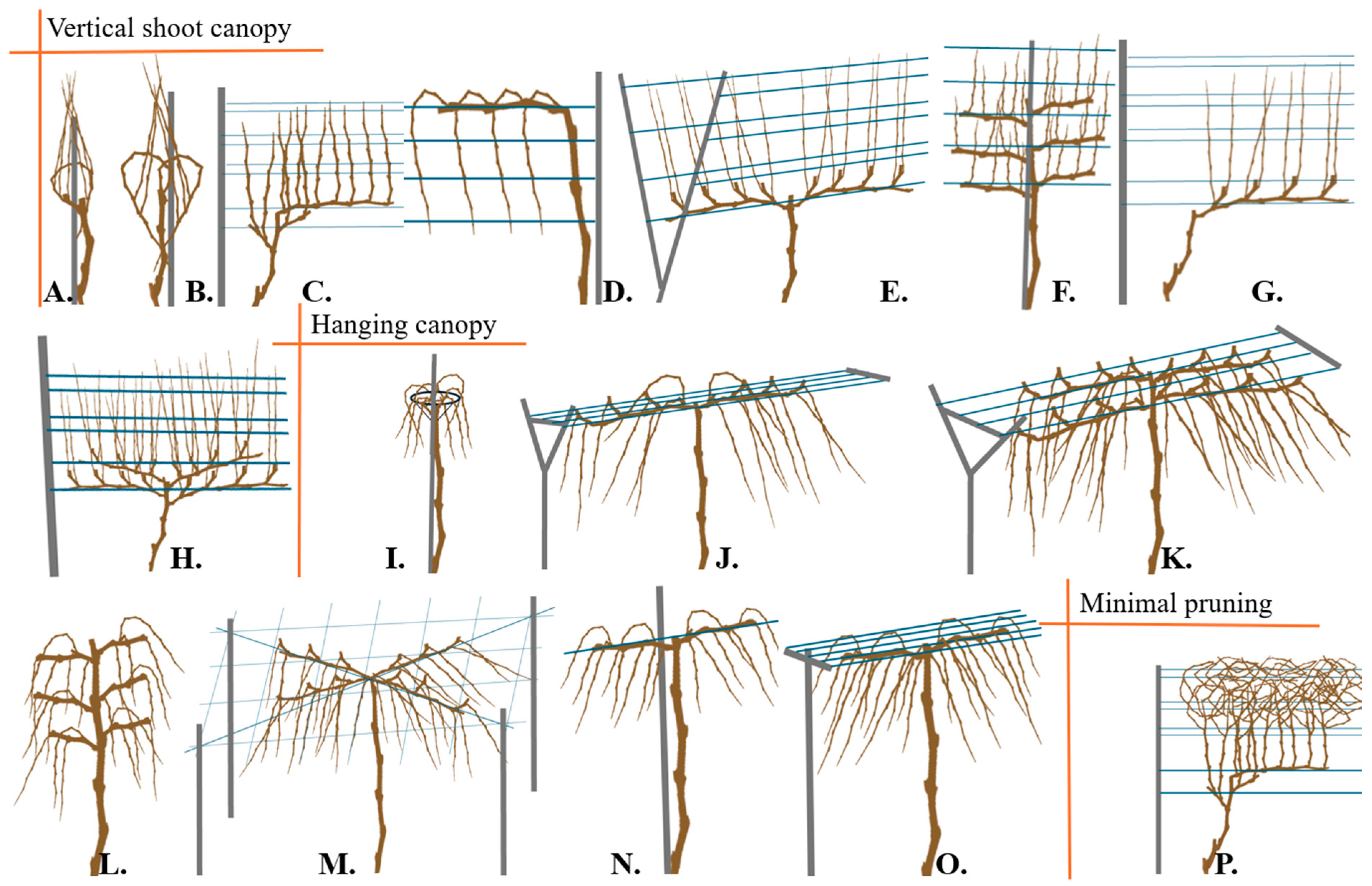 Agriculture 14 01966 g001