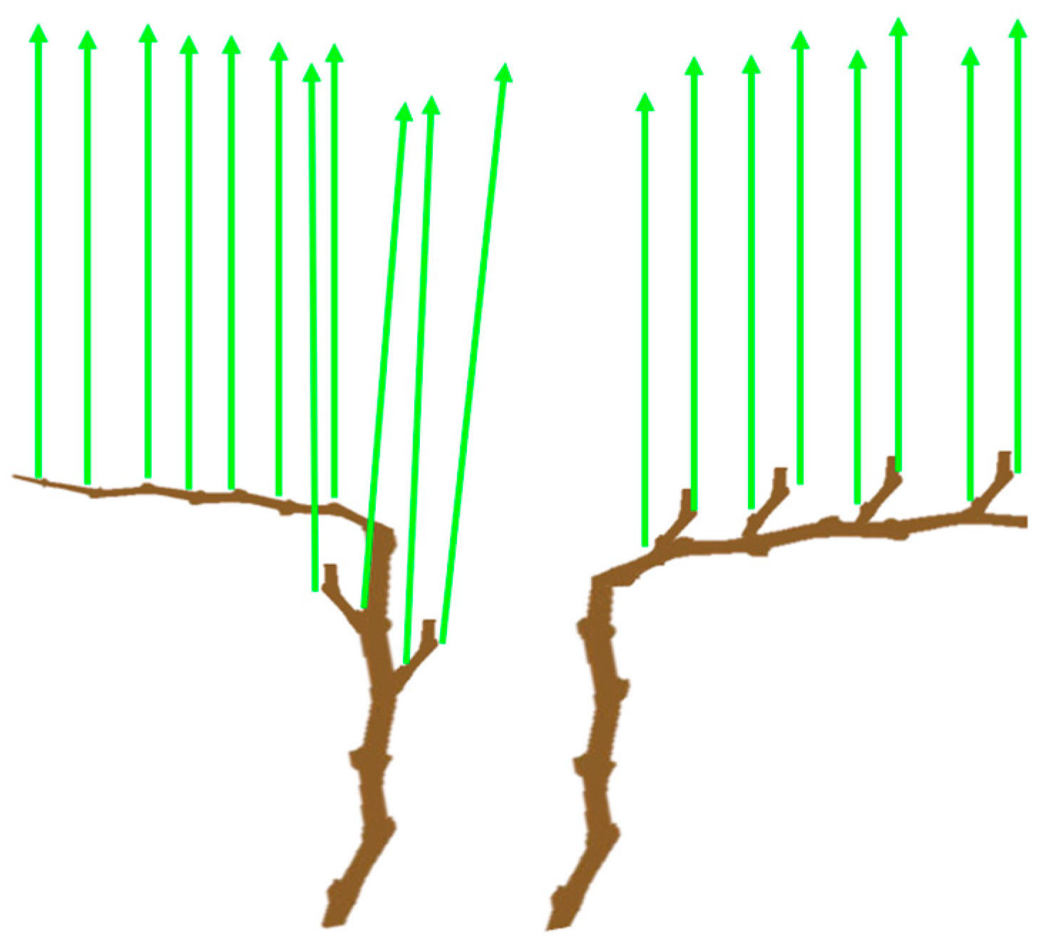 Agriculture 14 01966 g002