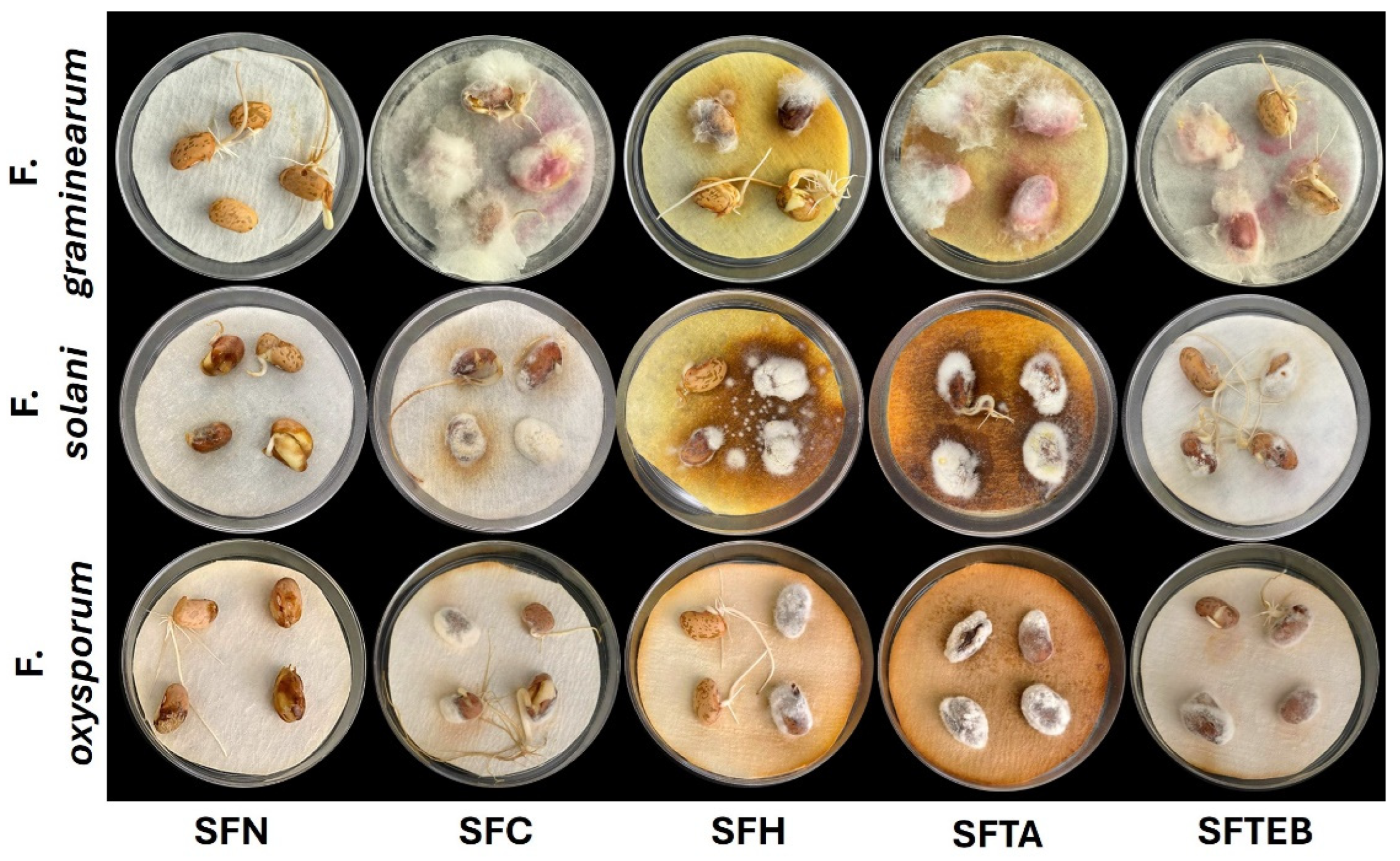 Agriculture 14 01975 g002