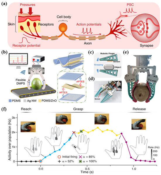 Agriculture 14 01977 g007