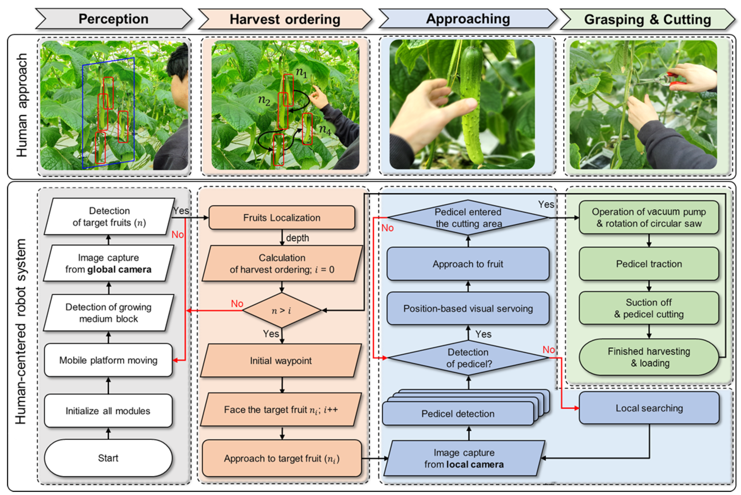 Agriculture 14 01985 g001