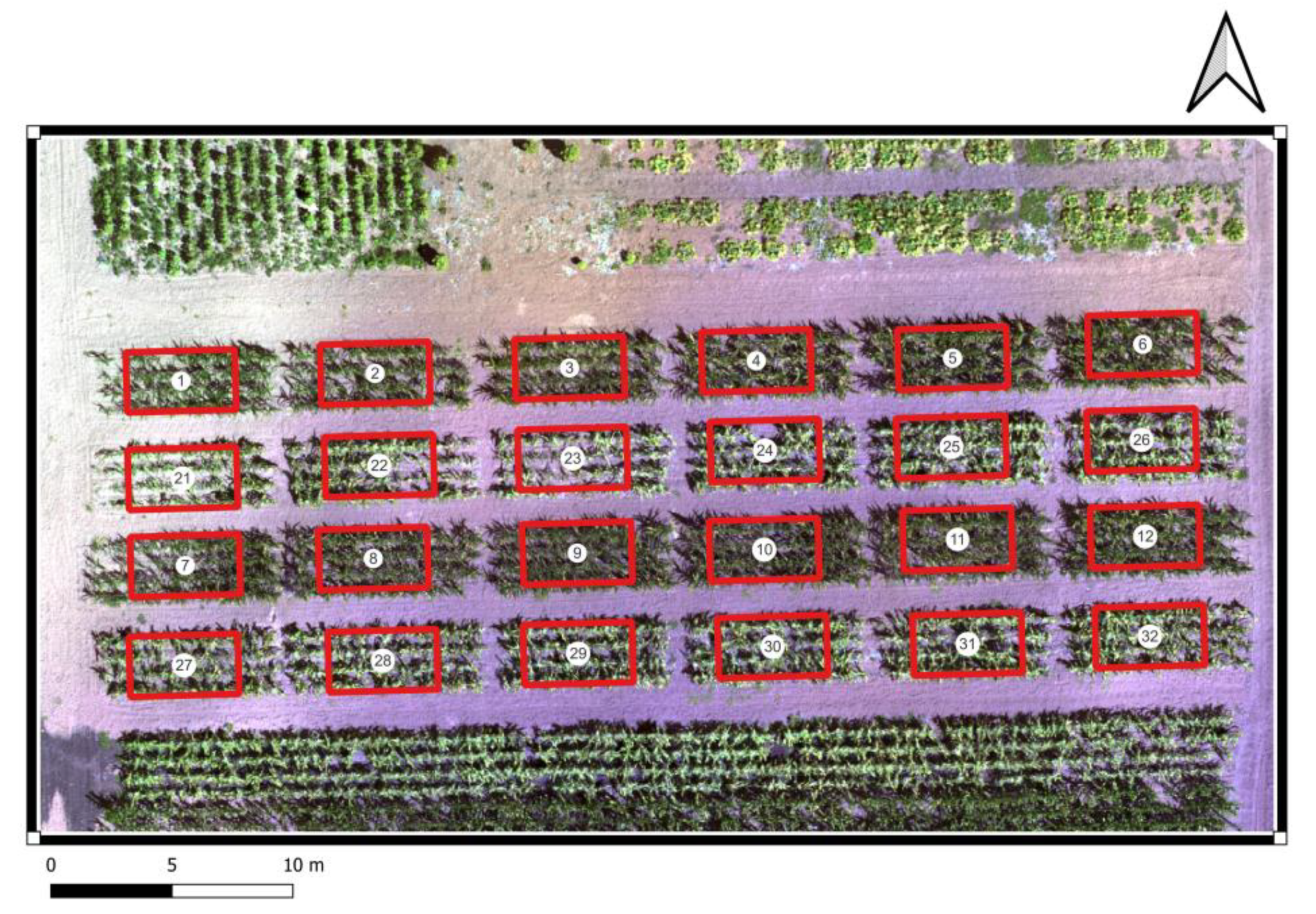 Agriculture 14 02002 g002