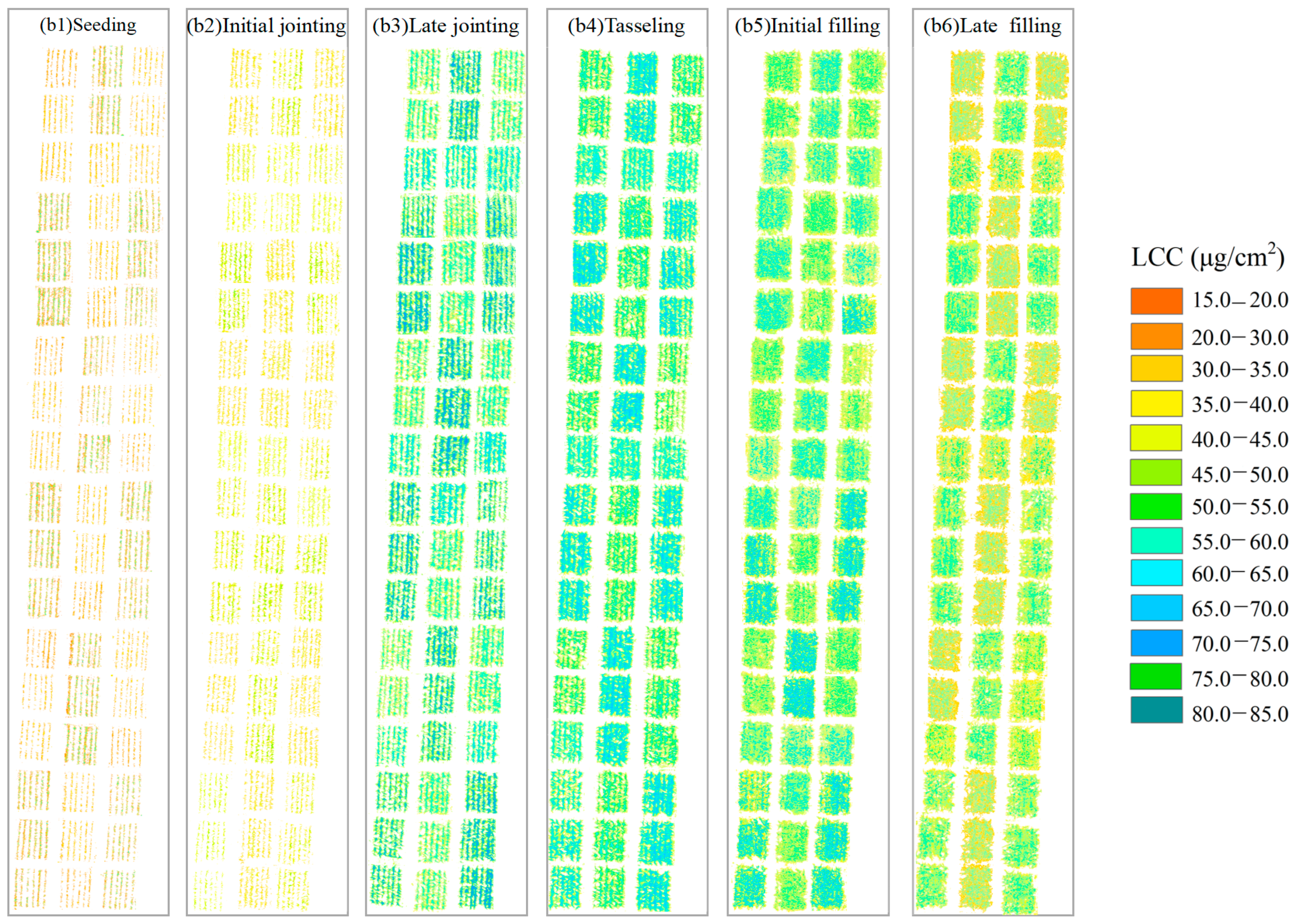 Agriculture 14 02004 g006b