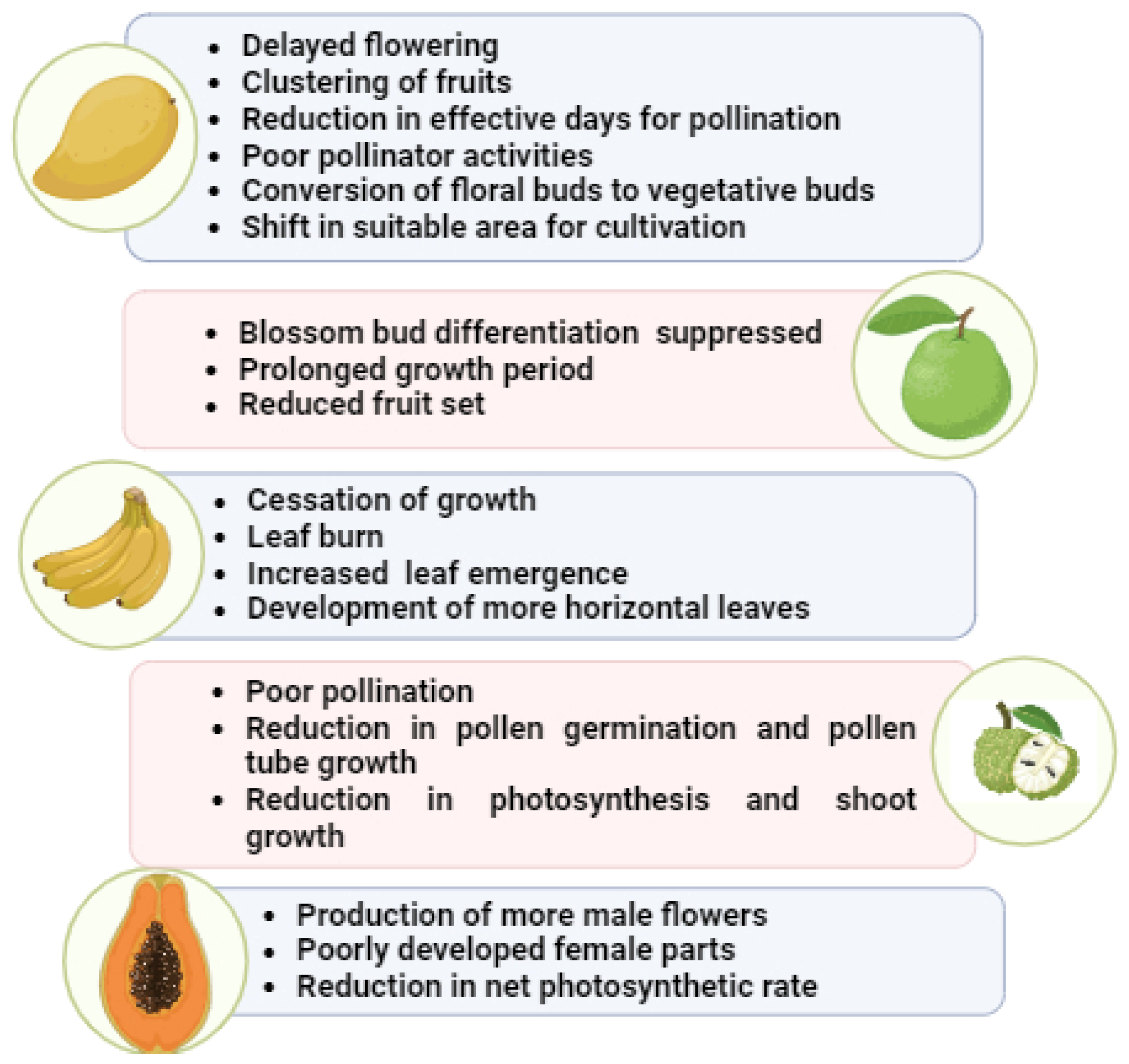 Agriculture 14 02018 g003