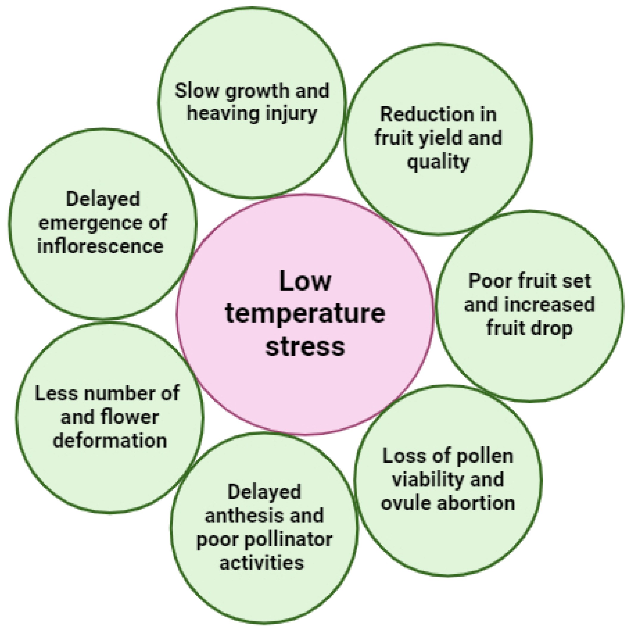 Agriculture 14 02018 g004