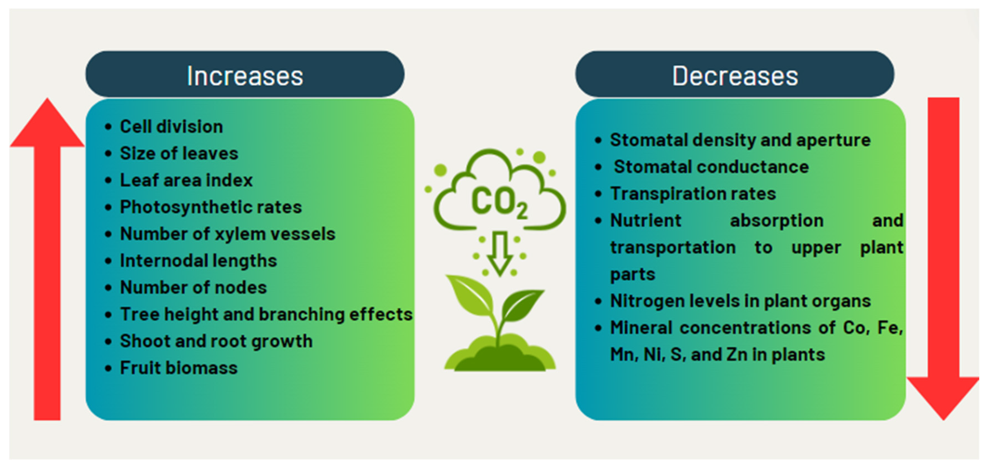 Agriculture 14 02018 g005