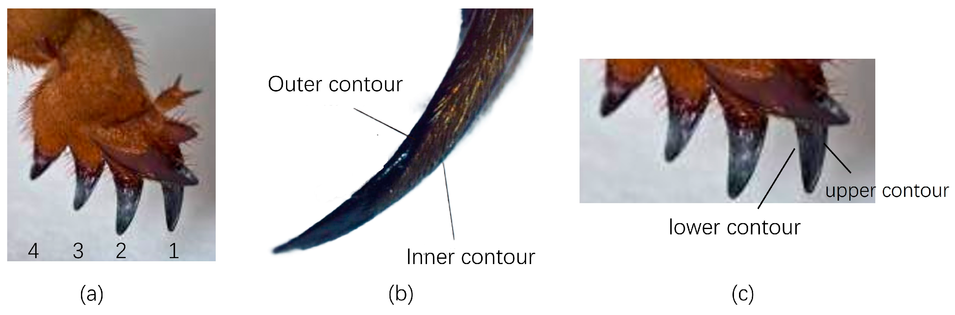 Agriculture 14 02046 g001