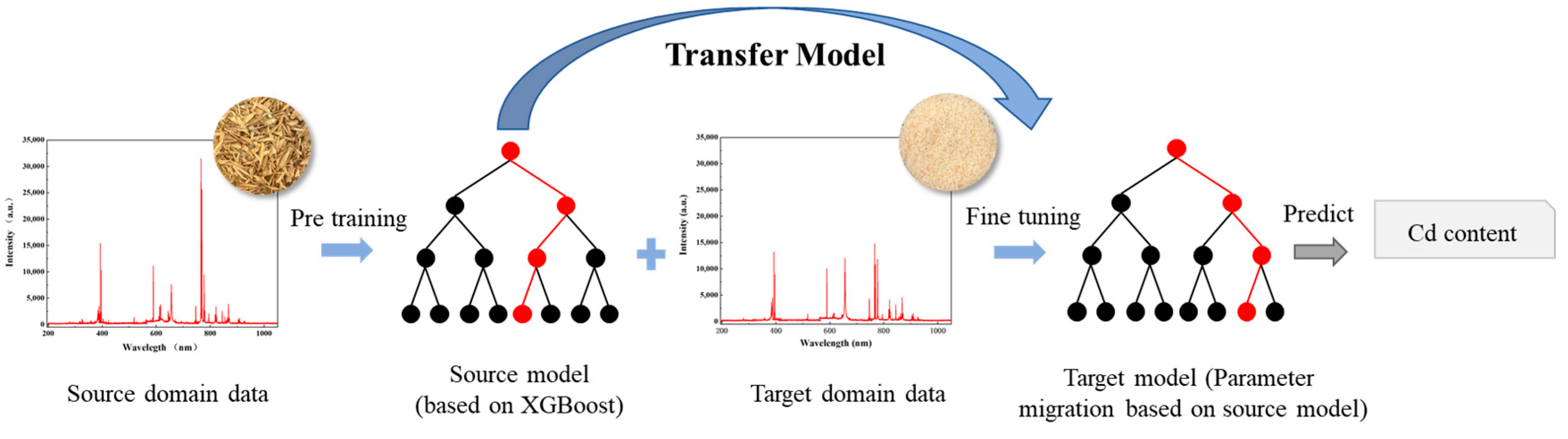 Agriculture 14 02053 g003