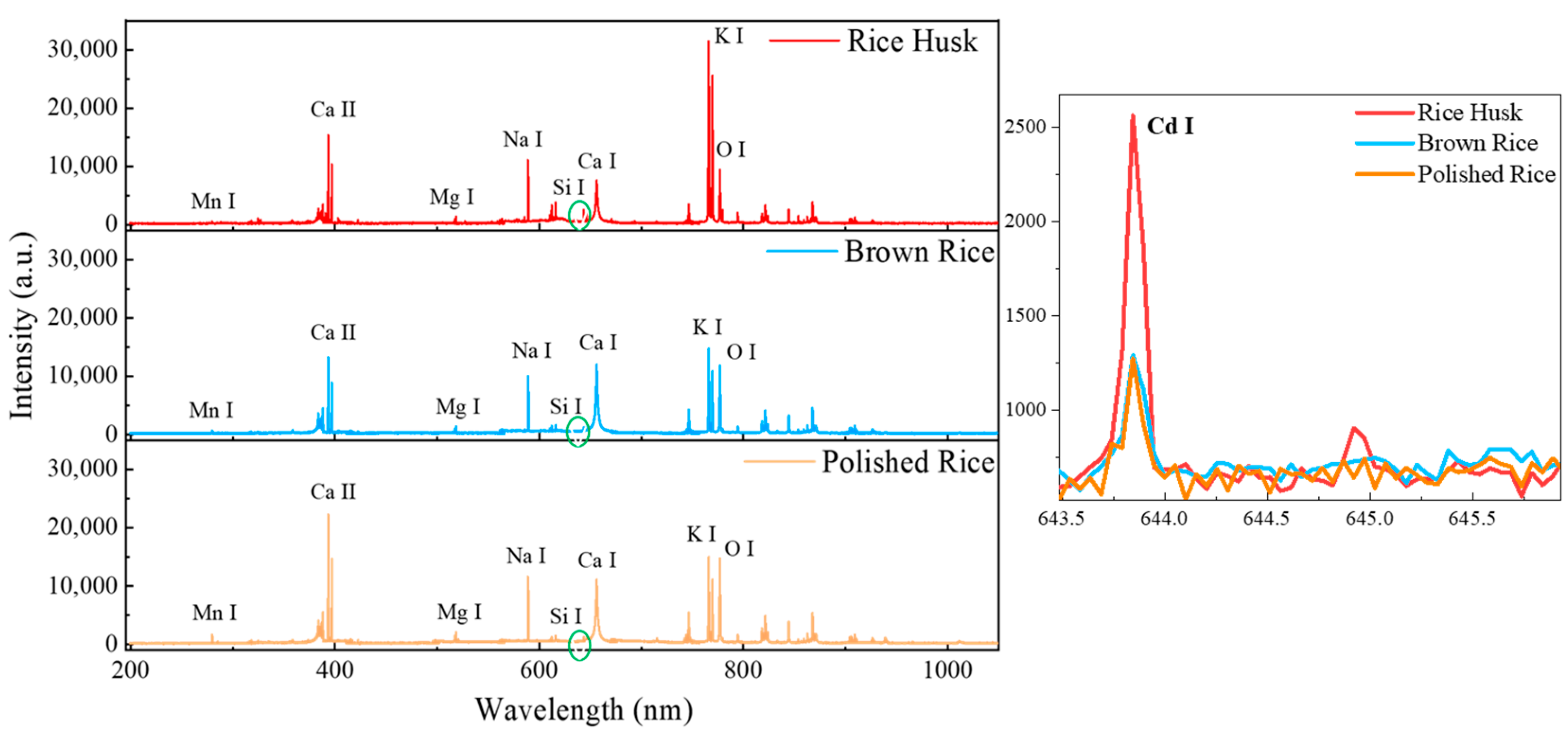 Agriculture 14 02053 g004