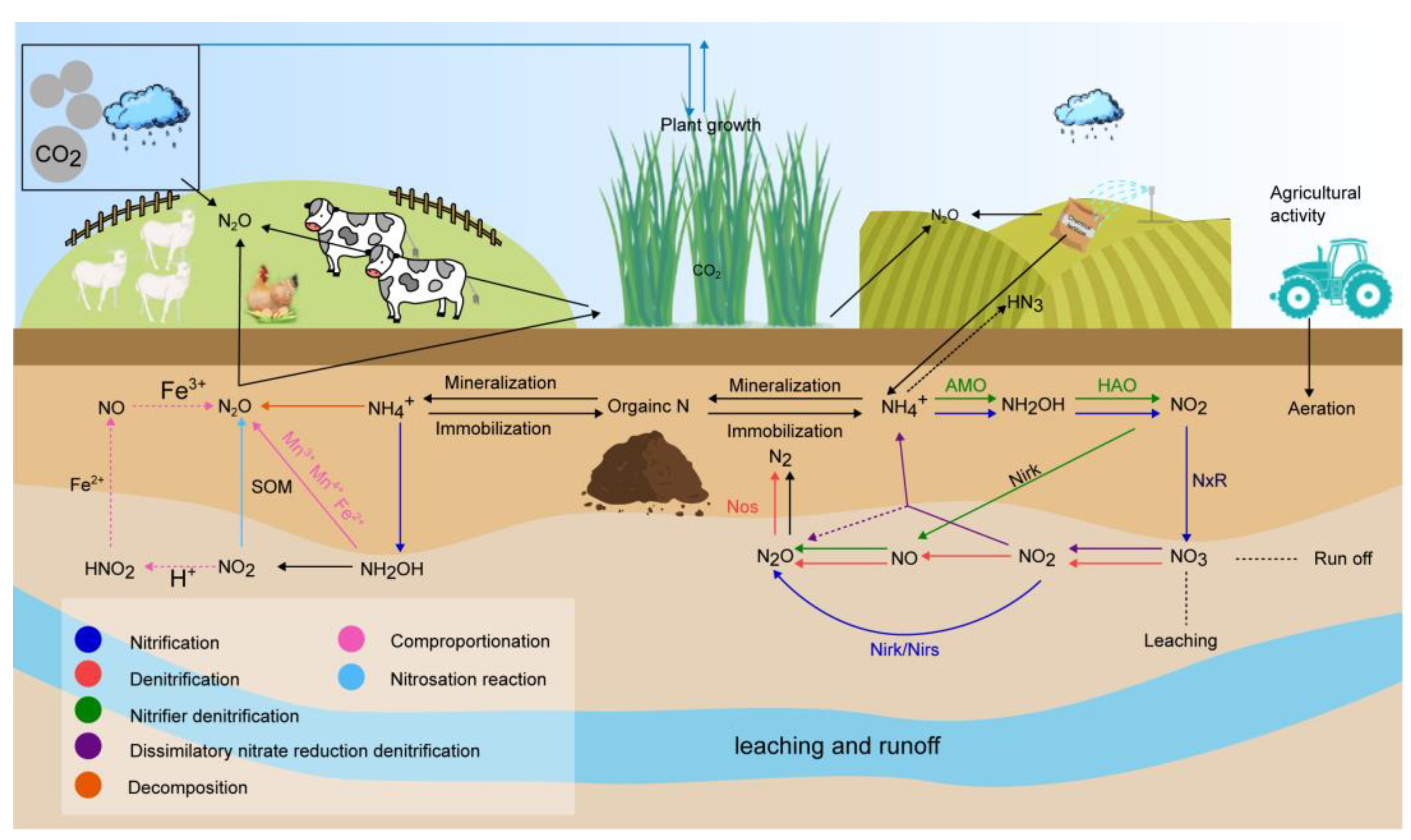 Agriculture 14 02074 g001