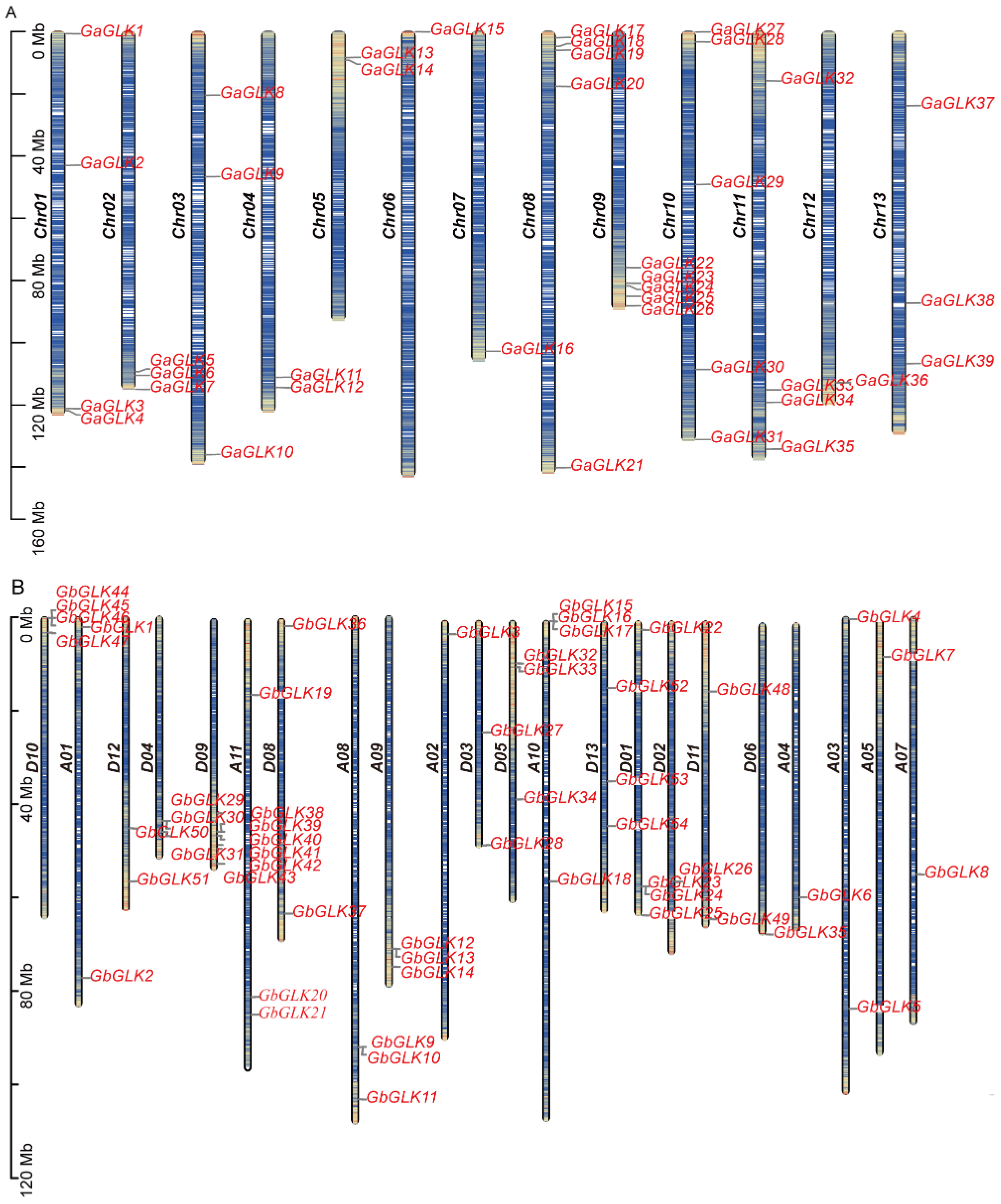 Agriculture 14 02086 g001