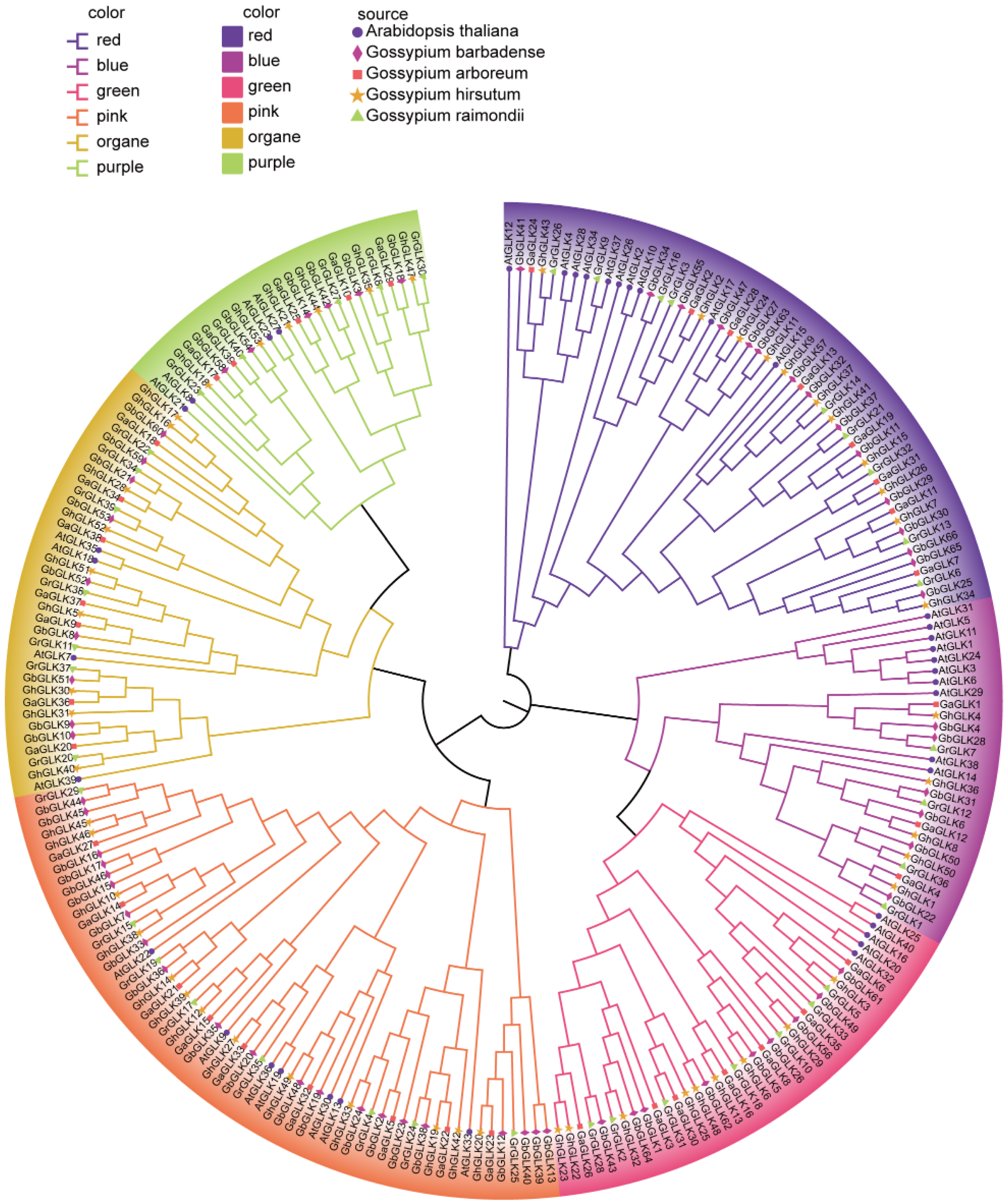 Agriculture 14 02086 g003