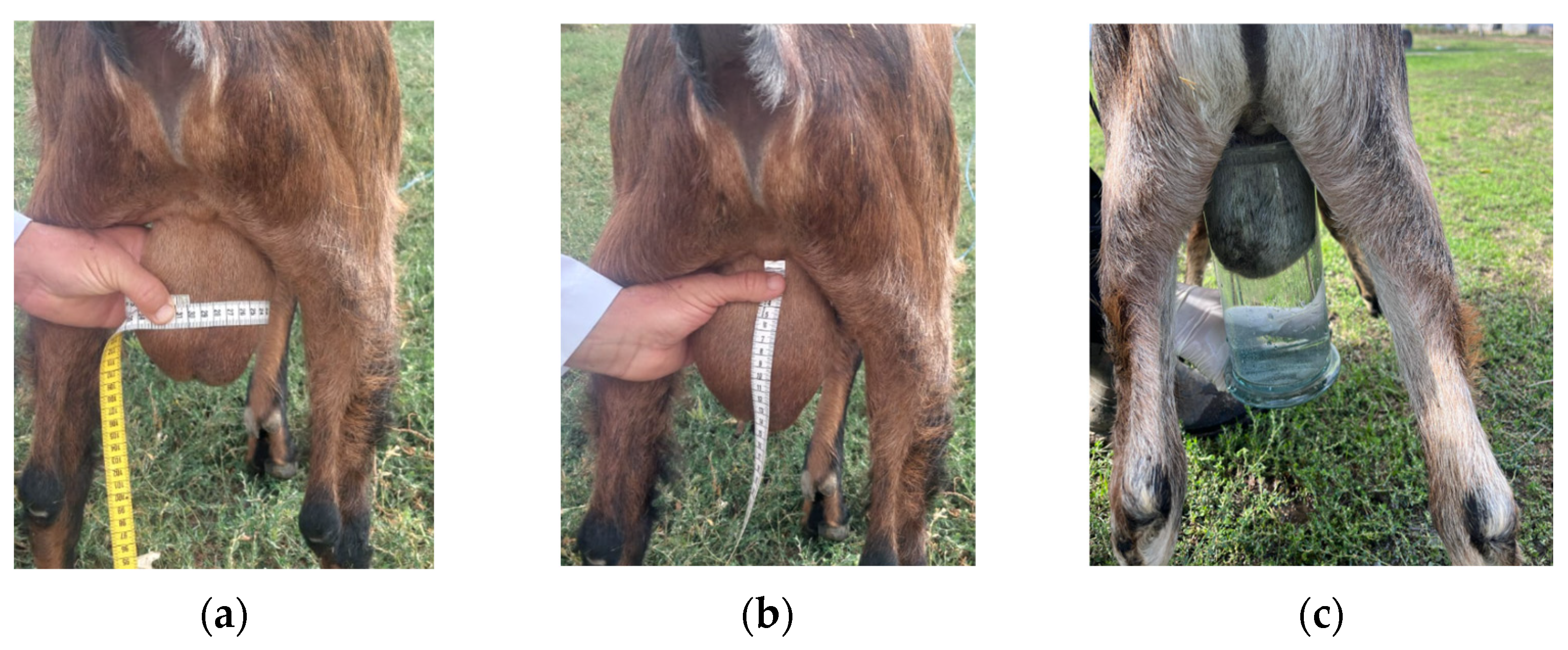 Agriculture 14 02092 g001