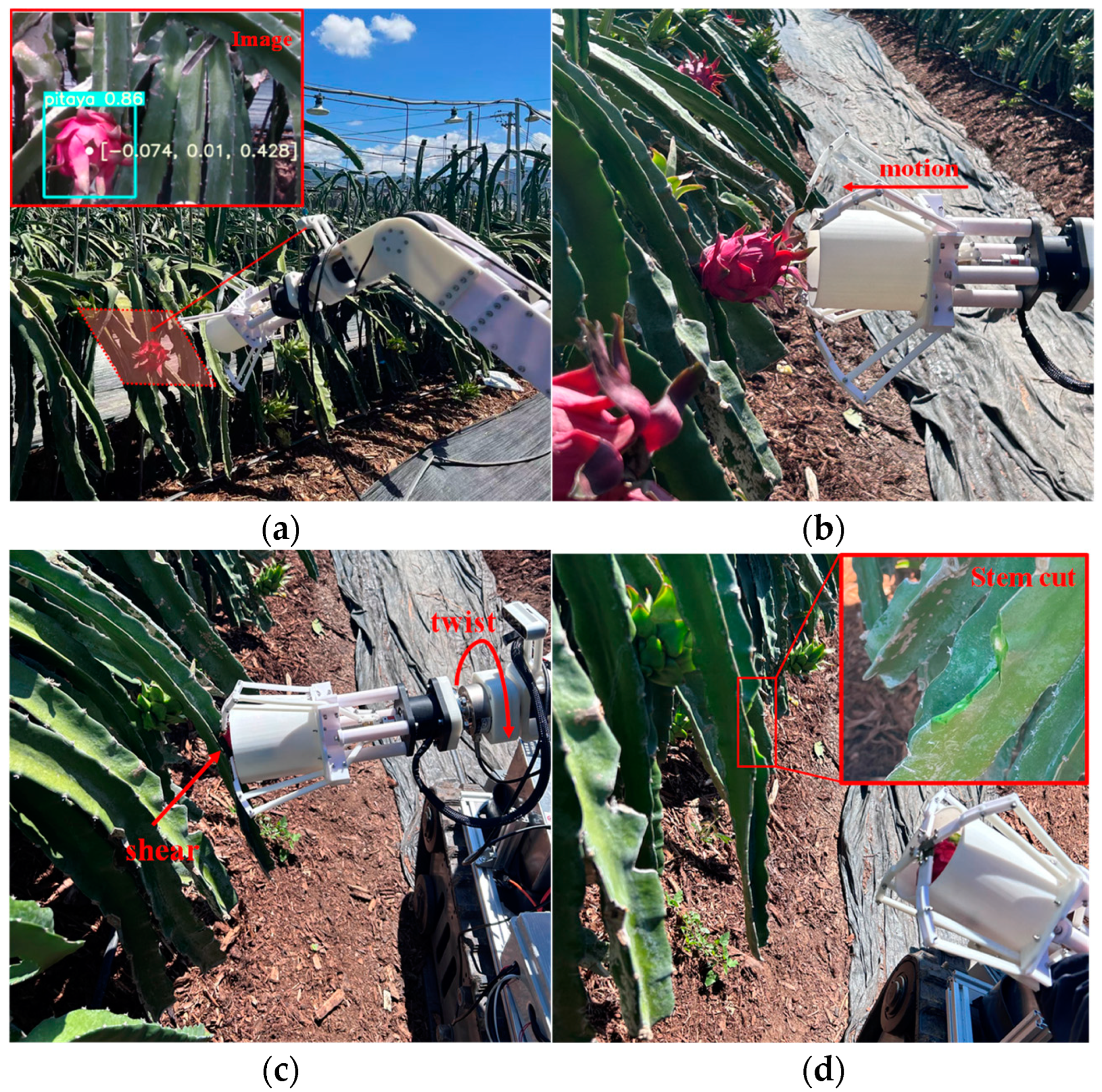 Agriculture 14 02095 g010