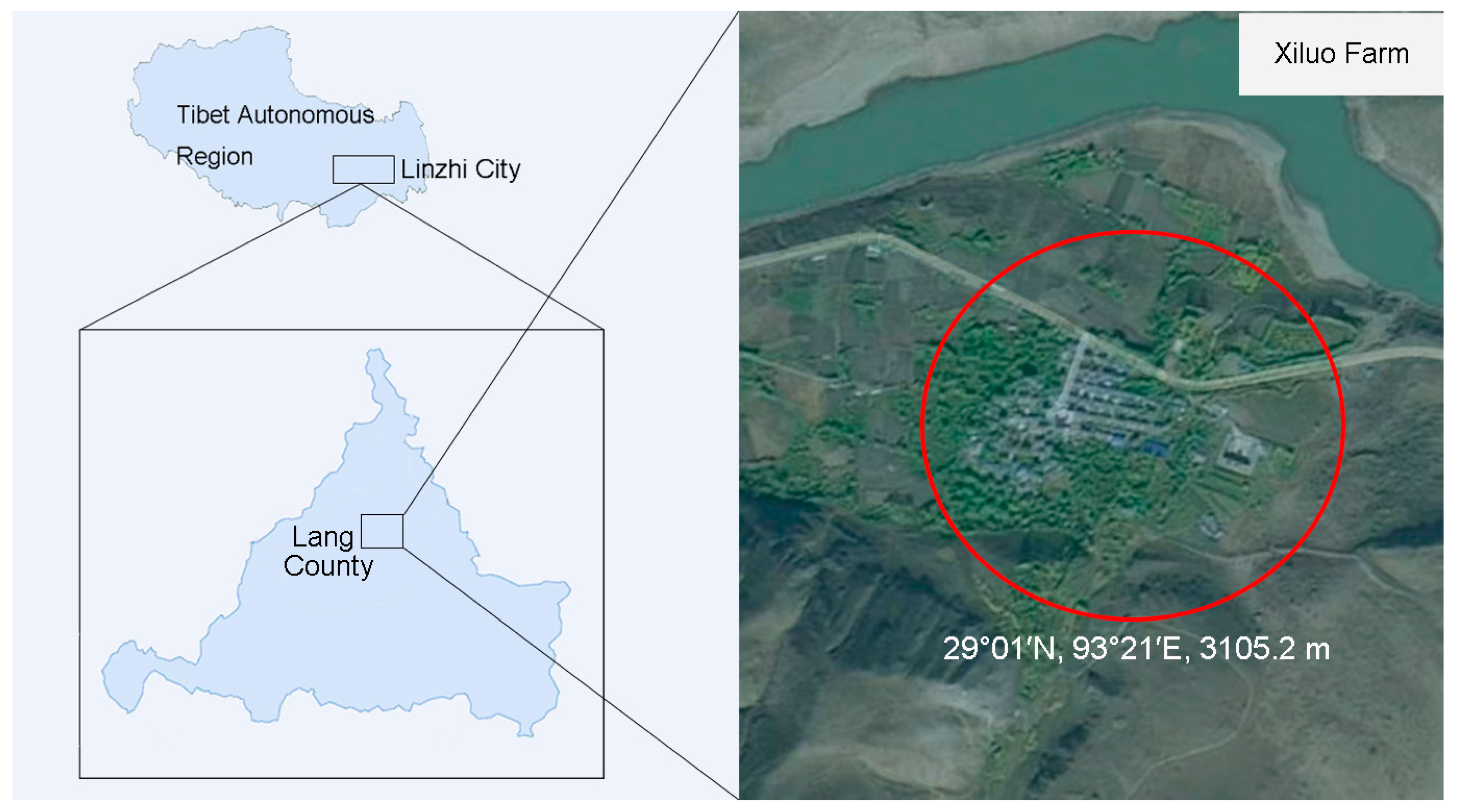 Agriculture 14 02096 g001