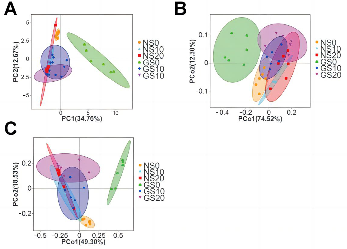 Agriculture 14 02096 g006