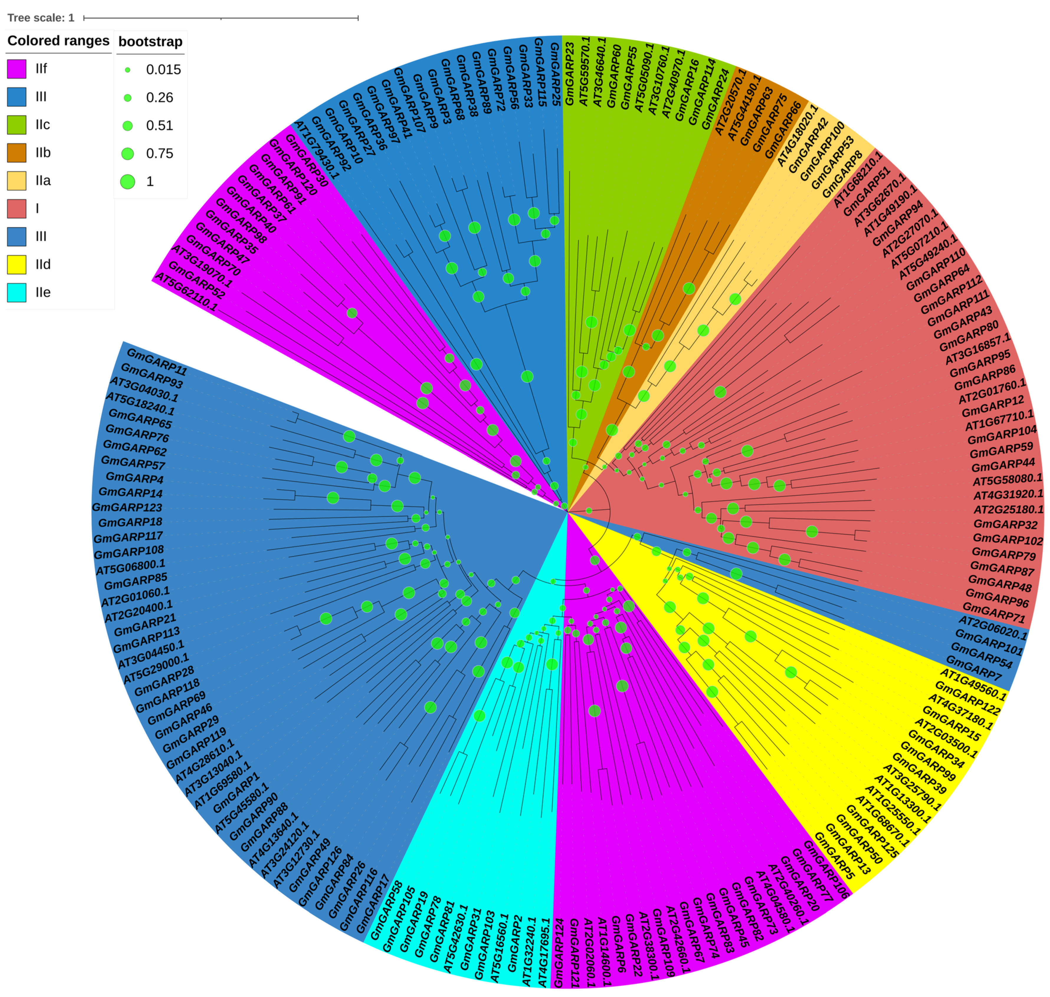 Agriculture 14 02109 g001