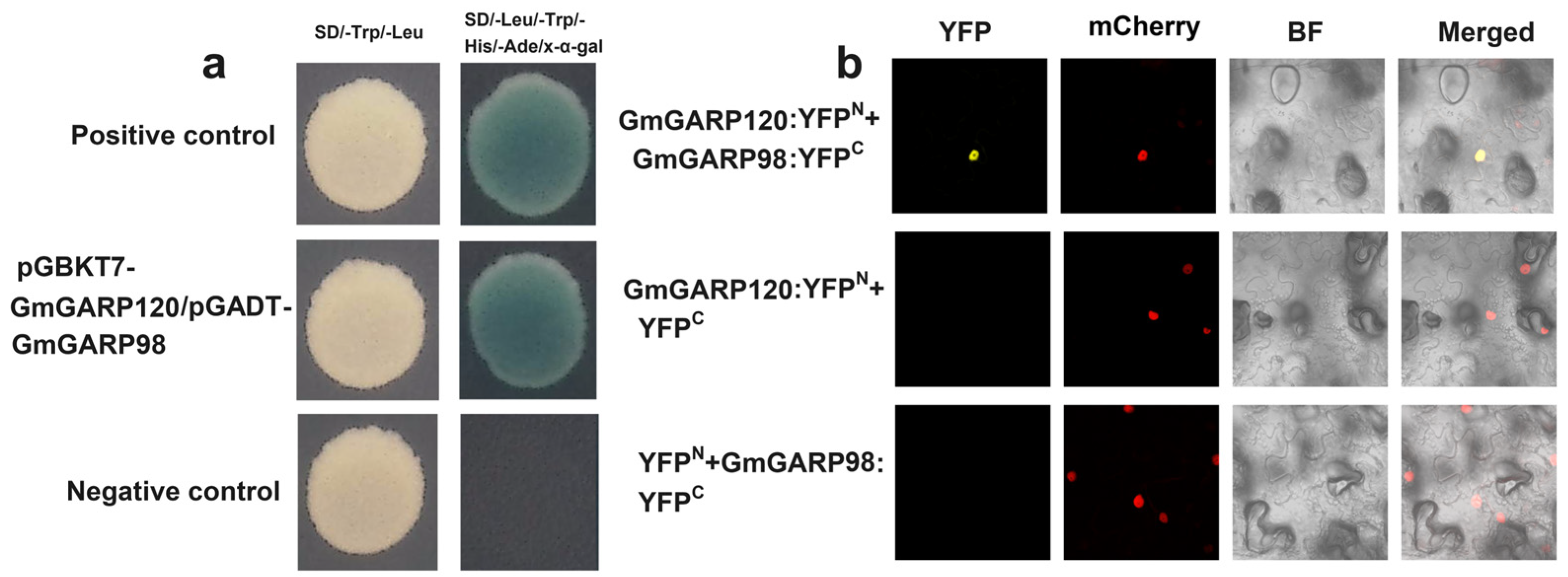 Agriculture 14 02109 g011