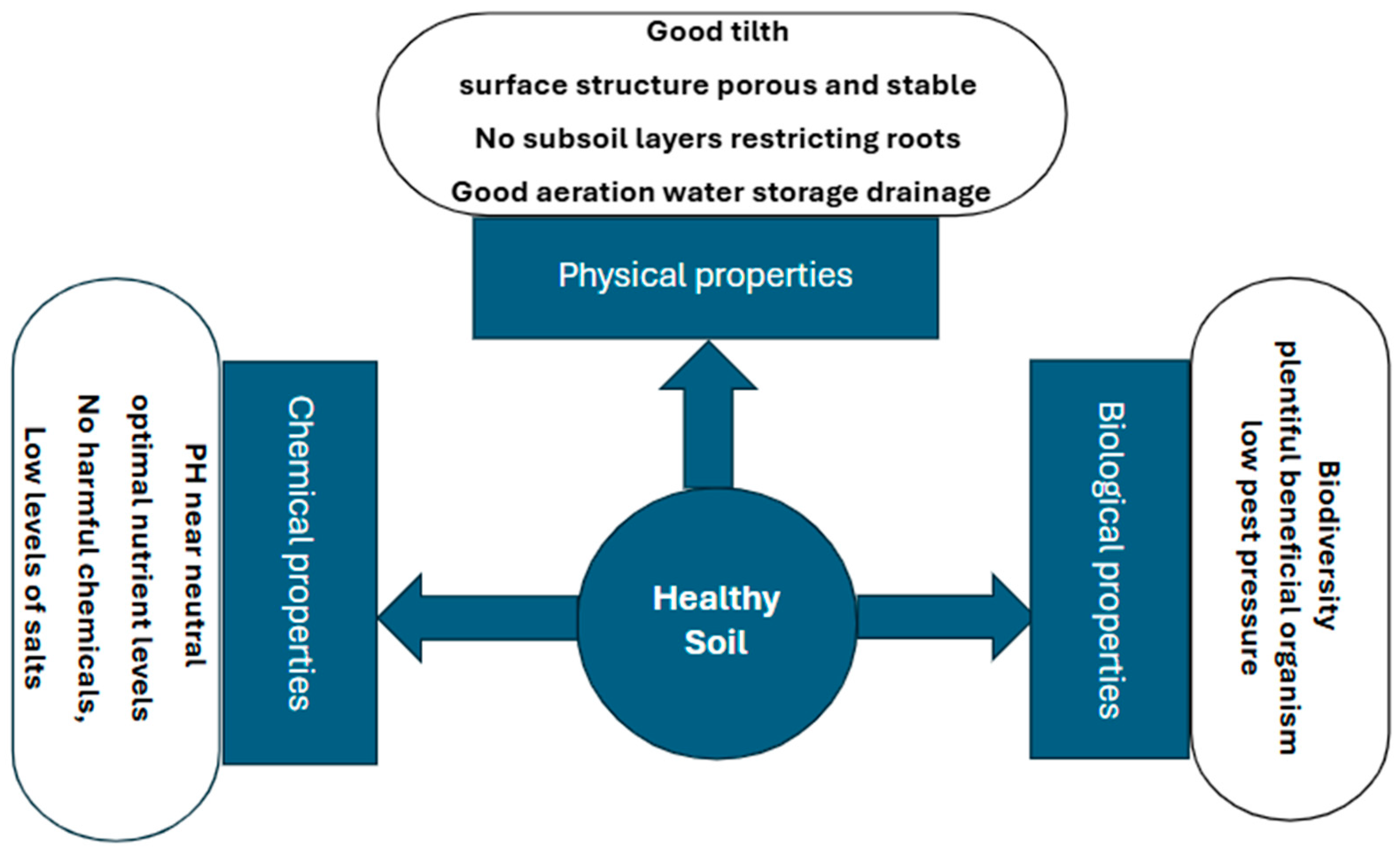 Agriculture 14 02114 g004 Agriculture 14 02114 g004