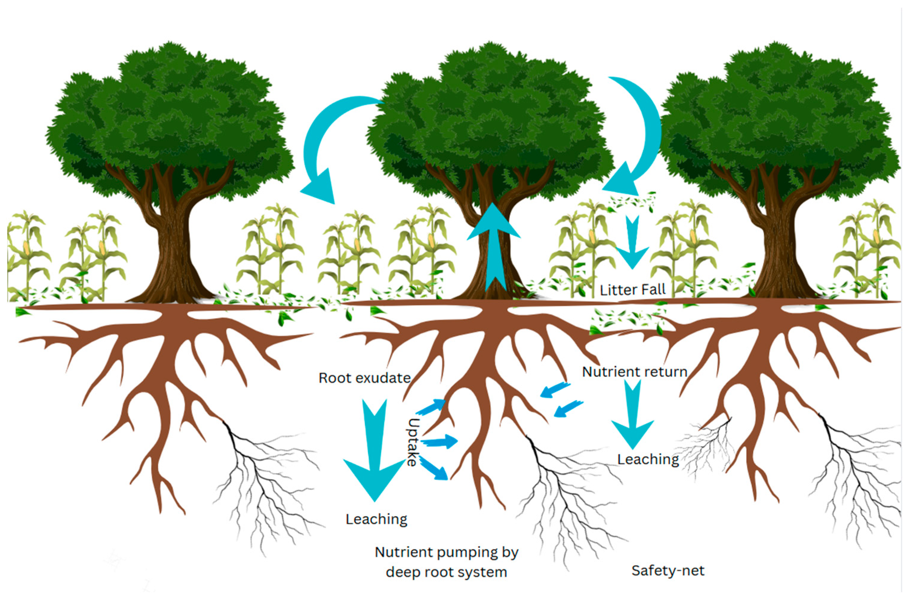 Agriculture 14 02114 g005 Agriculture 14 02114 g005