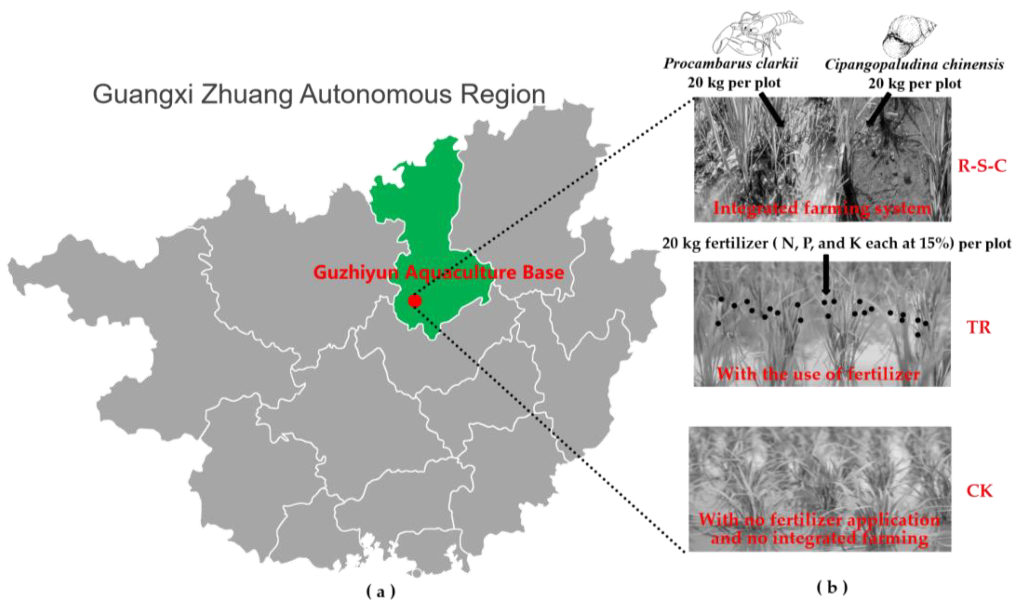 Agriculture 14 02133 g001