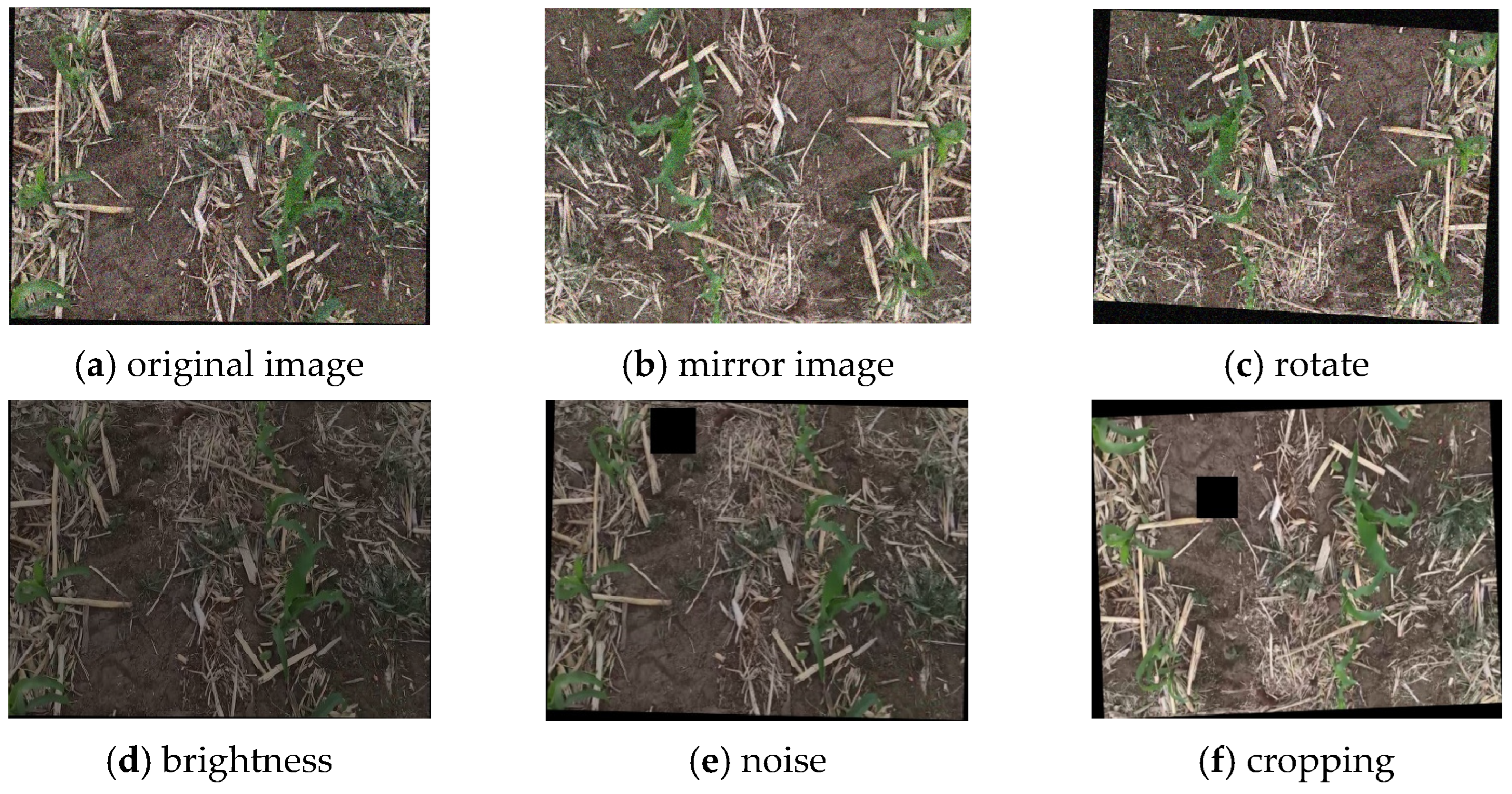 Agriculture 14 02134 g003