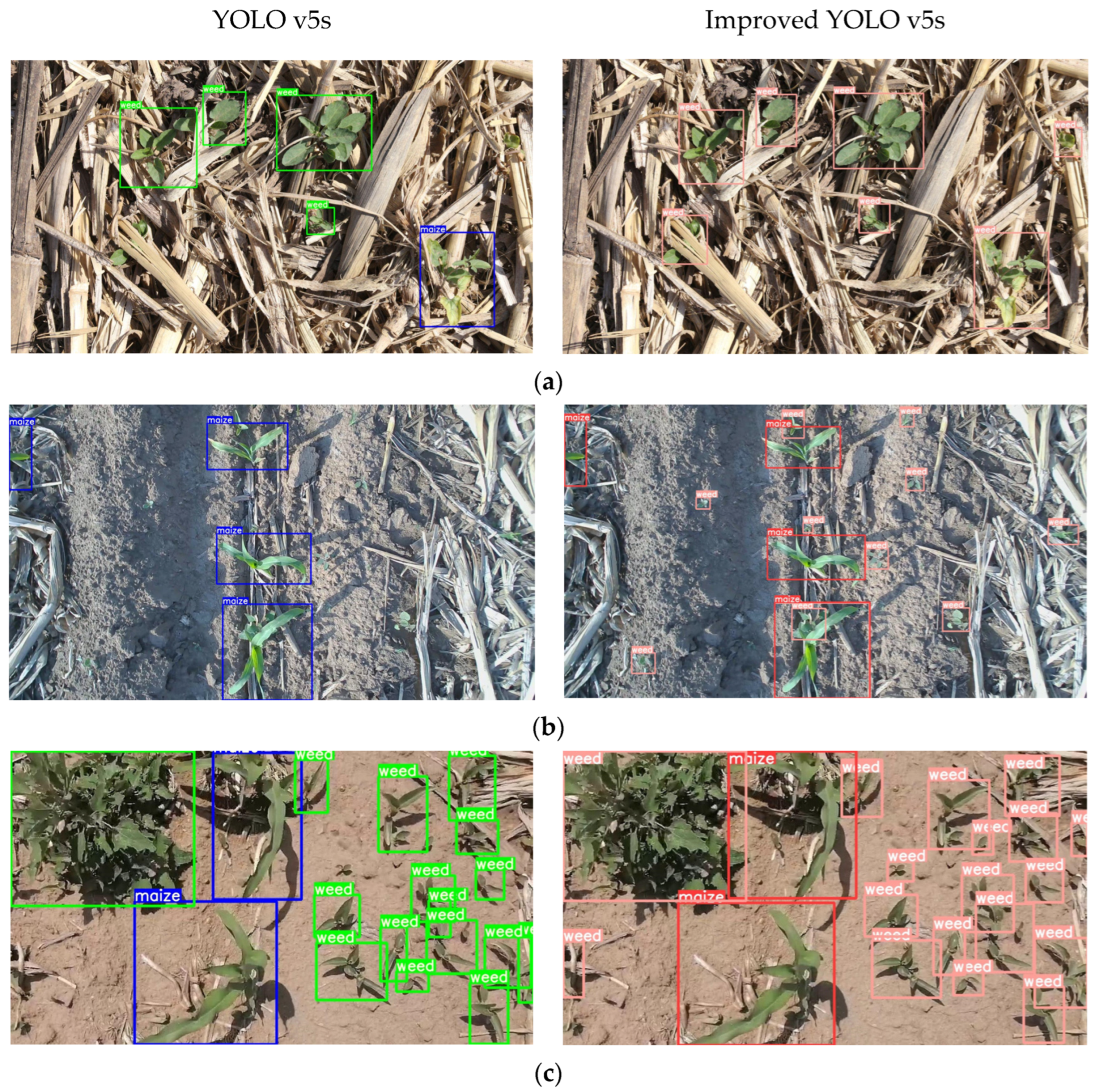 Agriculture 14 02134 g009a