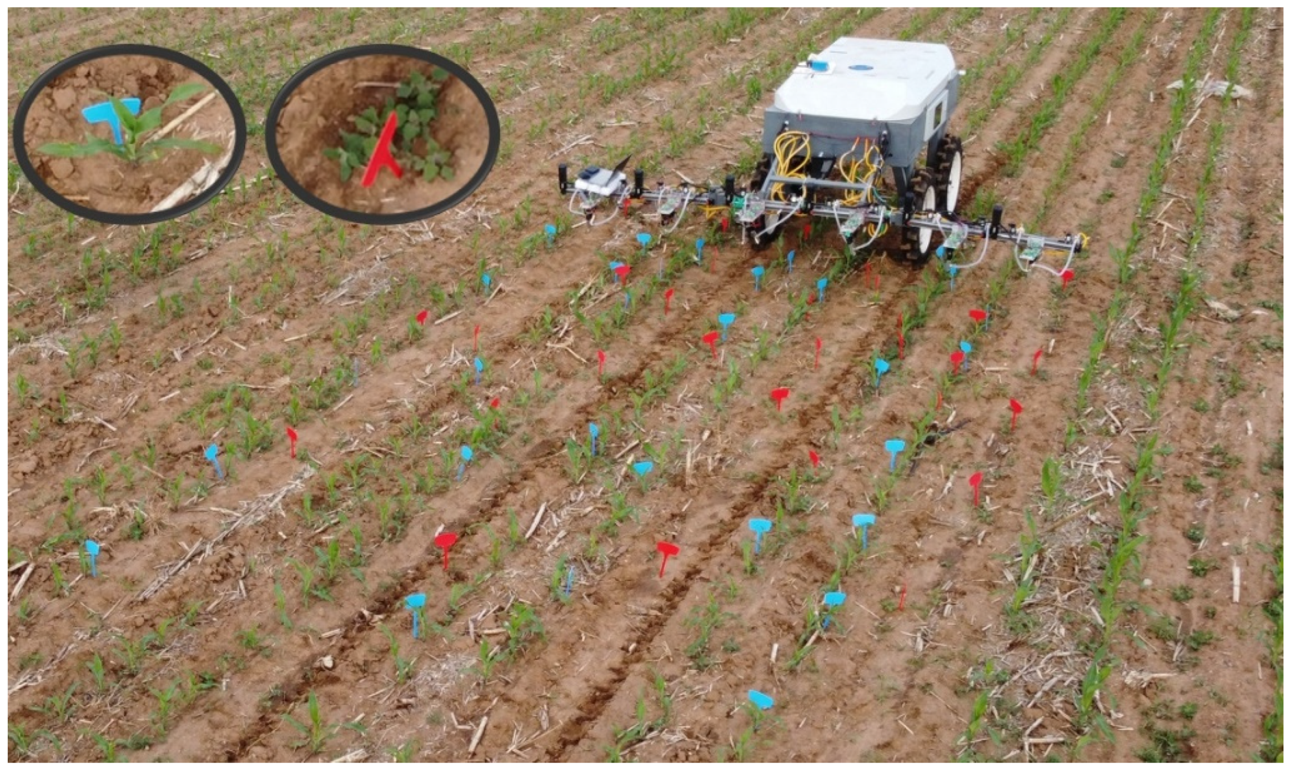 Agriculture 14 02134 g016