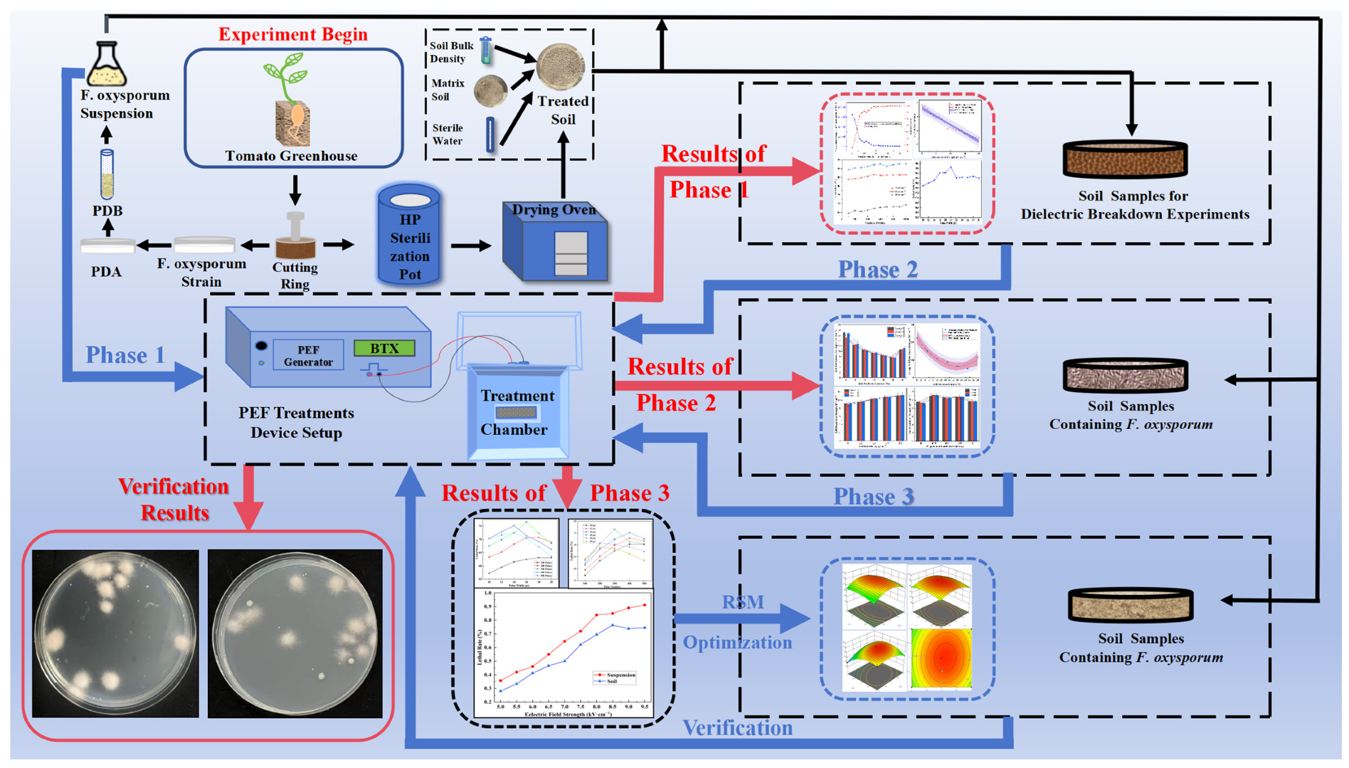 Agriculture 14 02158 g001