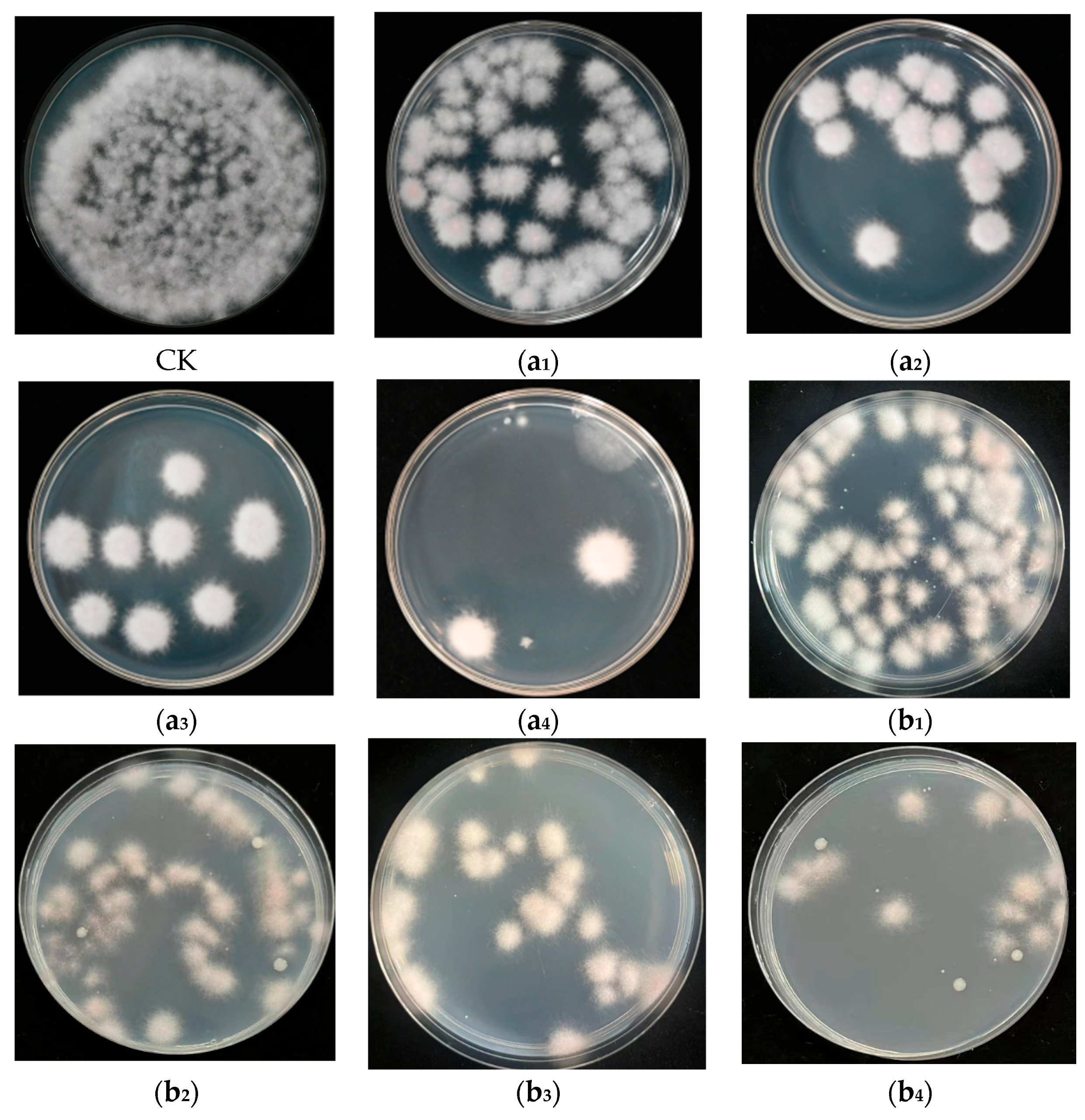 Agriculture 14 02158 g011