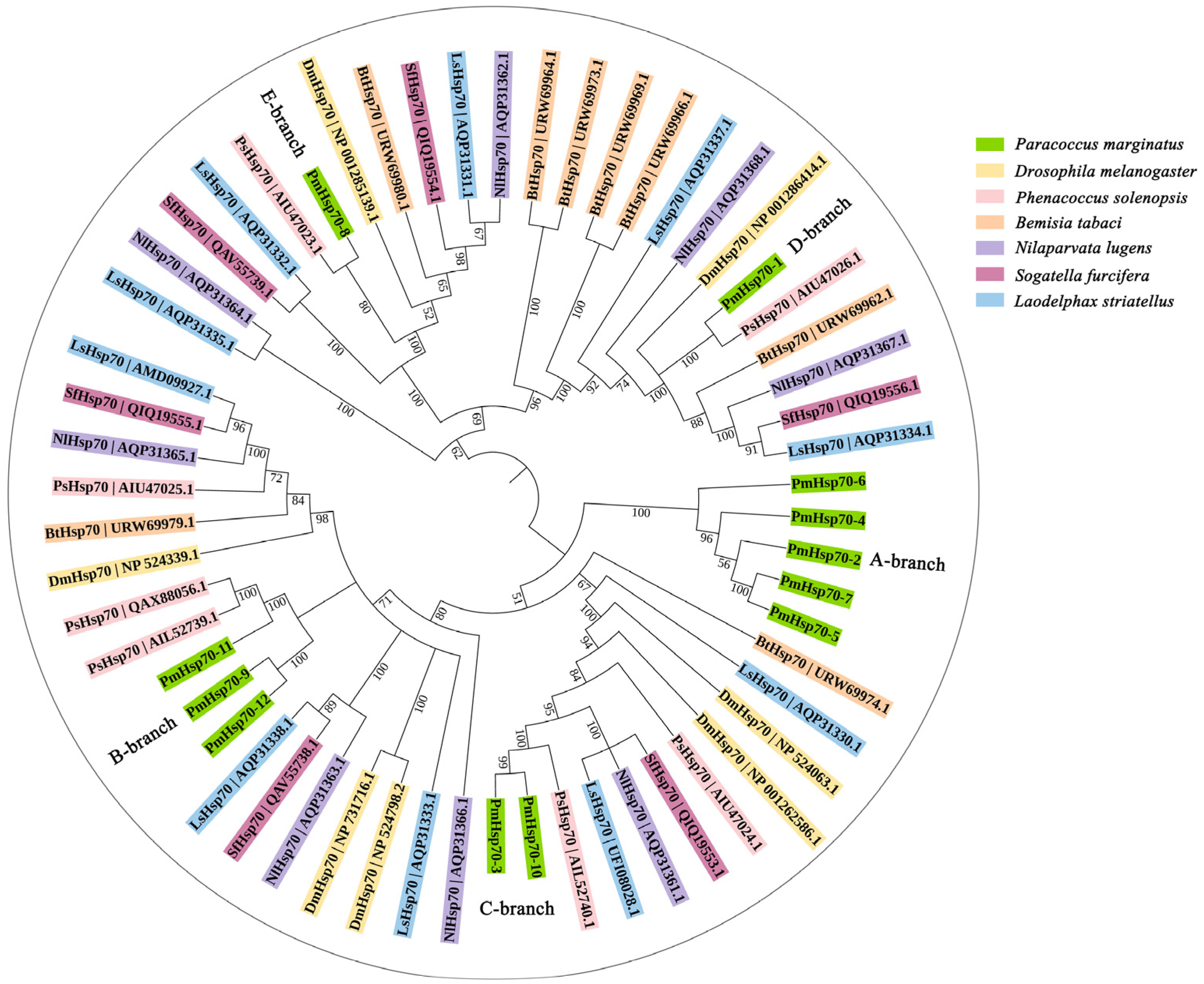 Agriculture 14 02164 g002