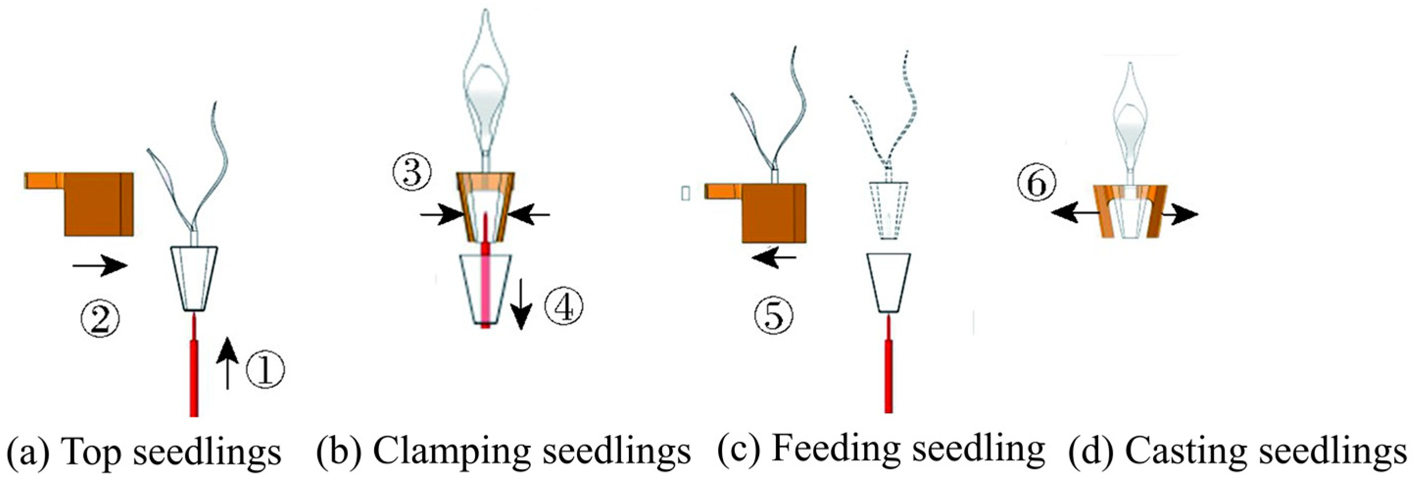 Agriculture 14 02168 g026