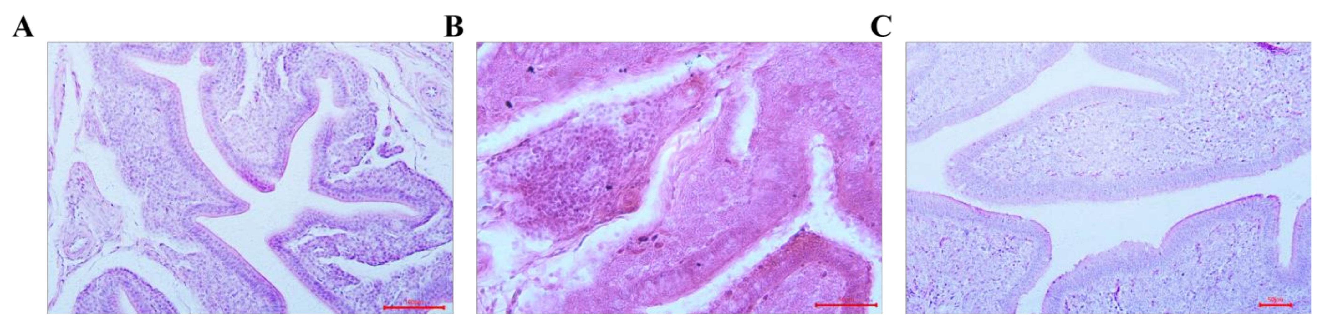 Agriculture 14 02176 g002