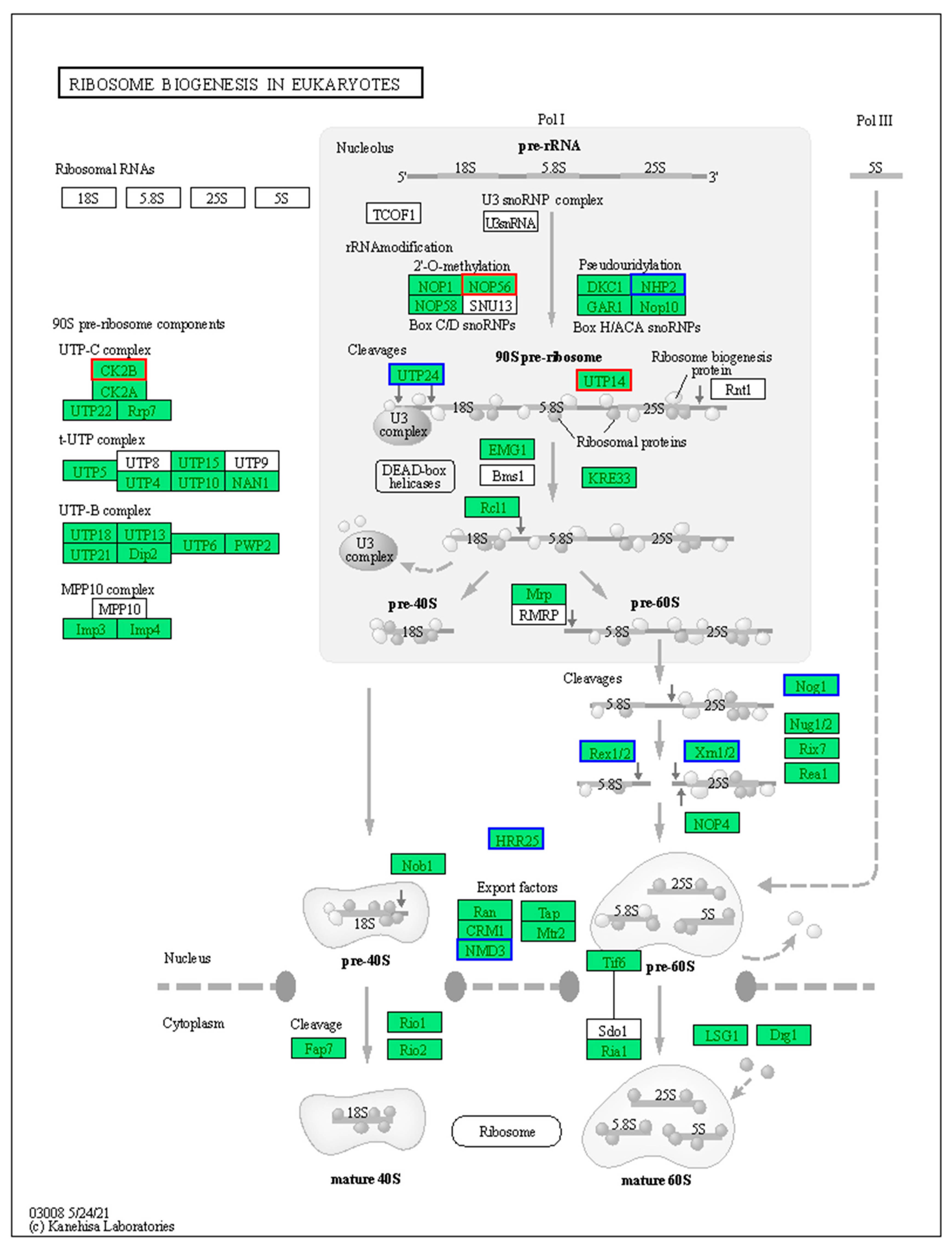 Agriculture 14 02226 g010