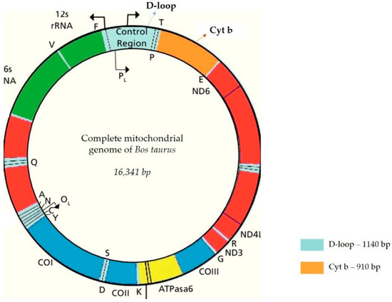Agriculture 14 02234 g002