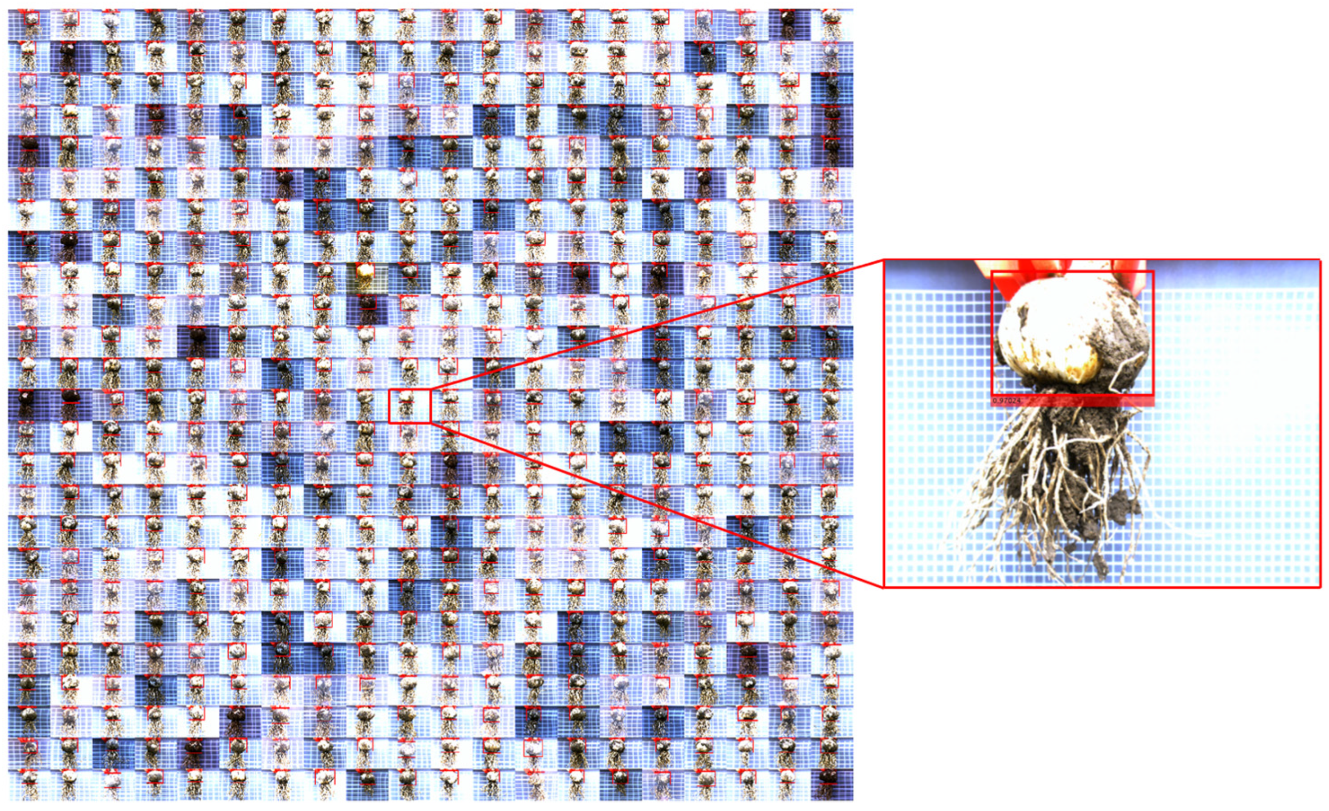 Agriculture 14 02236 g009