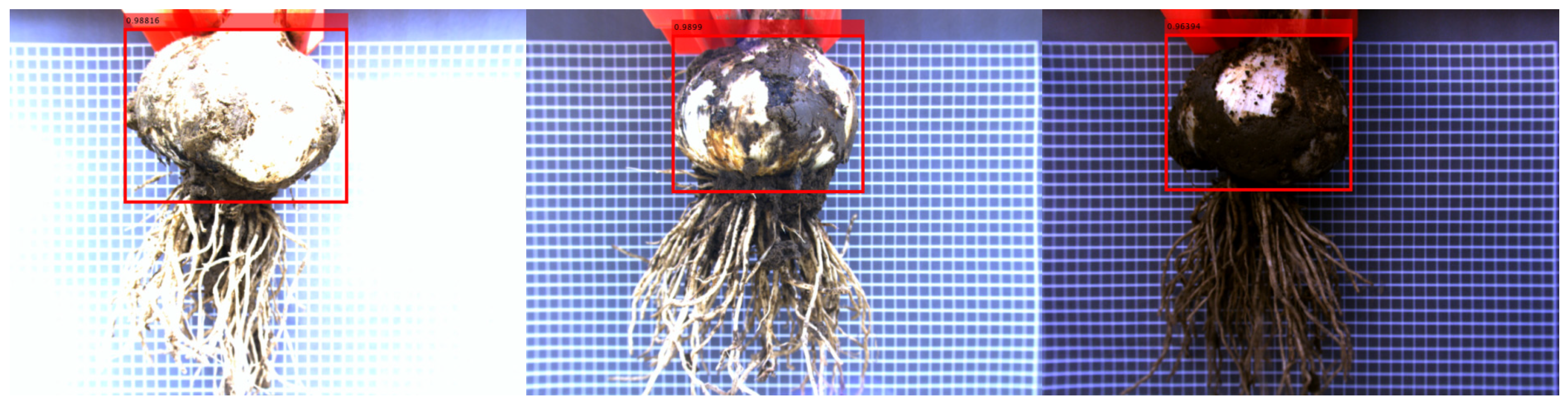 Agriculture 14 02236 g010