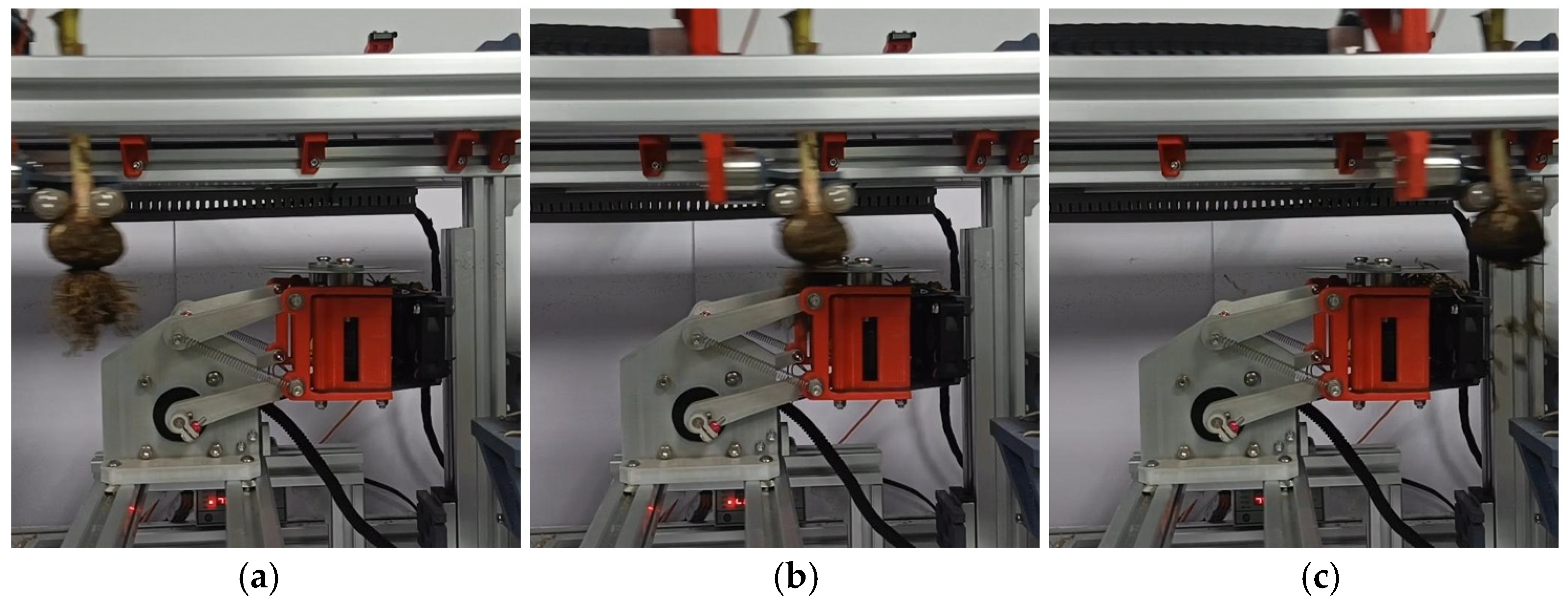 Agriculture 14 02236 g013