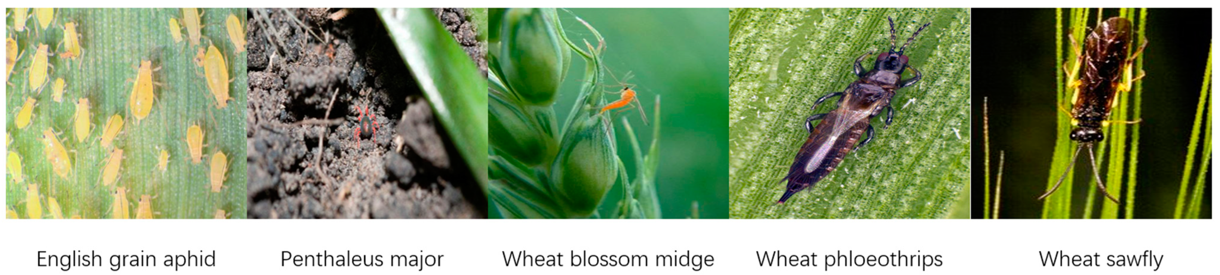 Agriculture 14 02244 g001