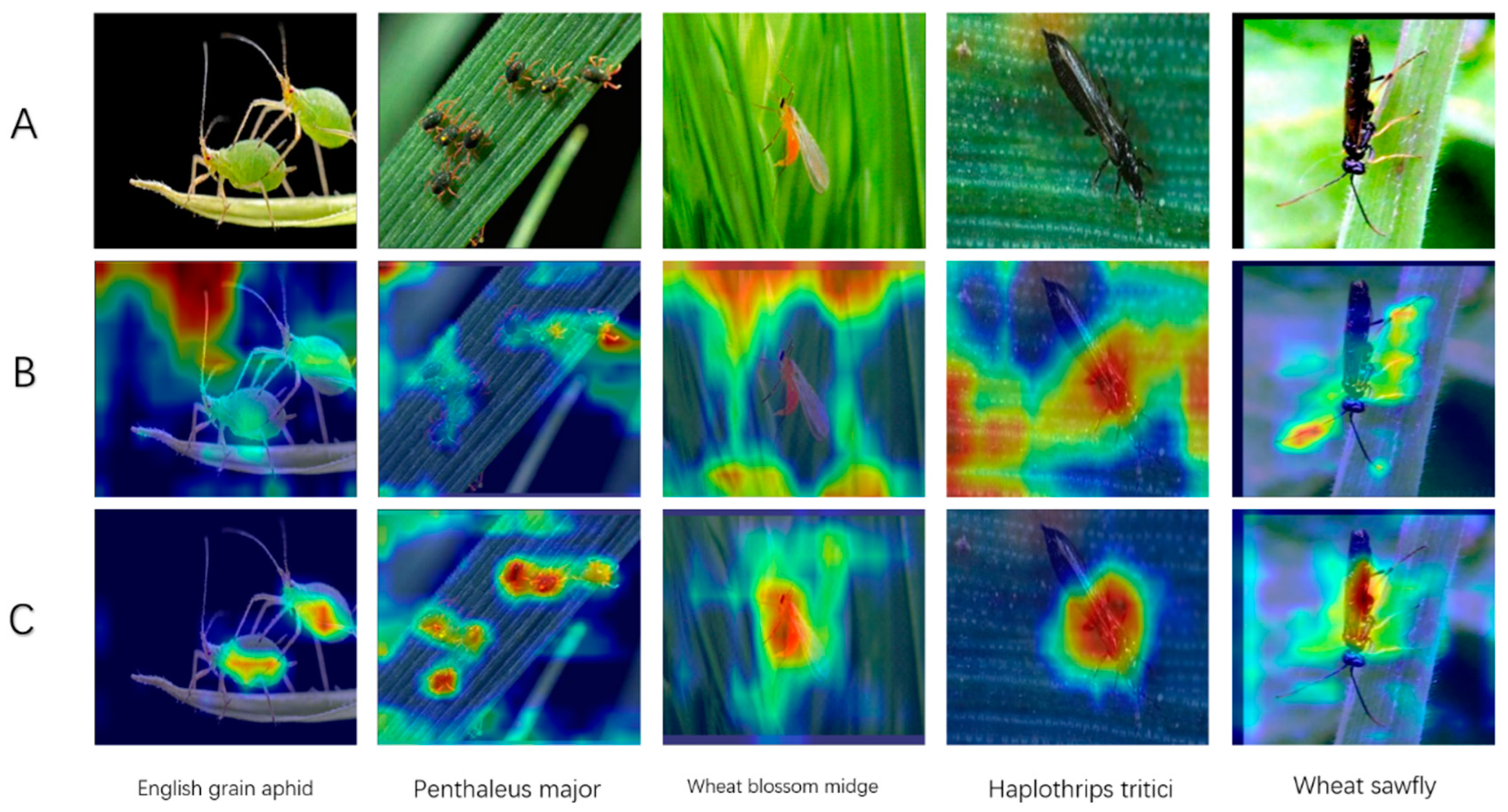 Agriculture 14 02244 g013