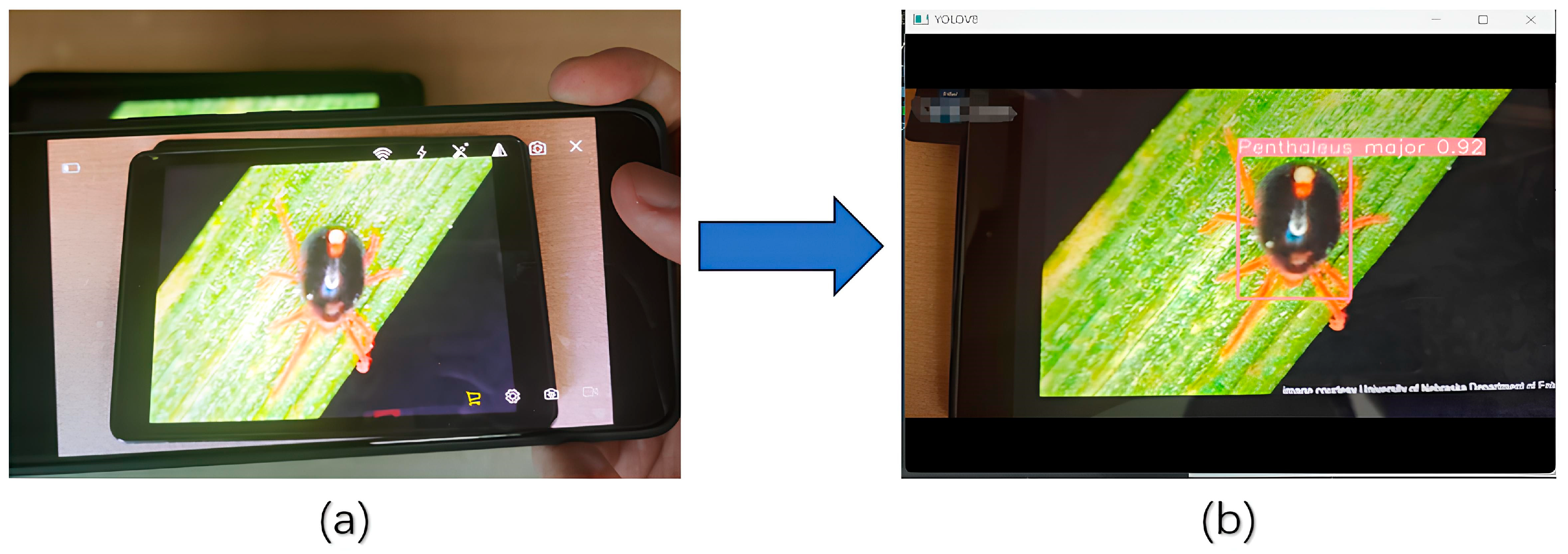 Agriculture 14 02244 g014