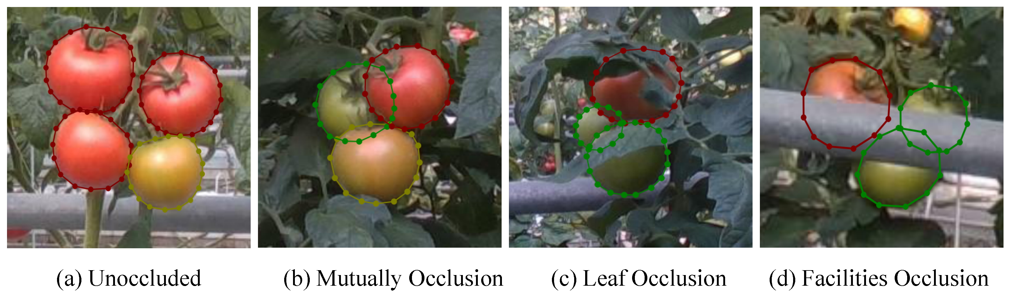 Agriculture 14 02268 g002