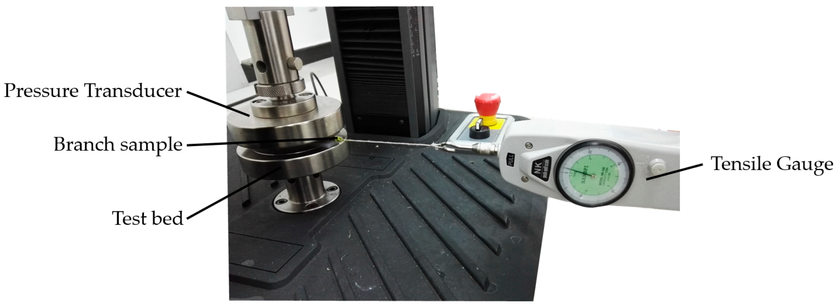 Agriculture 14 02281 g004