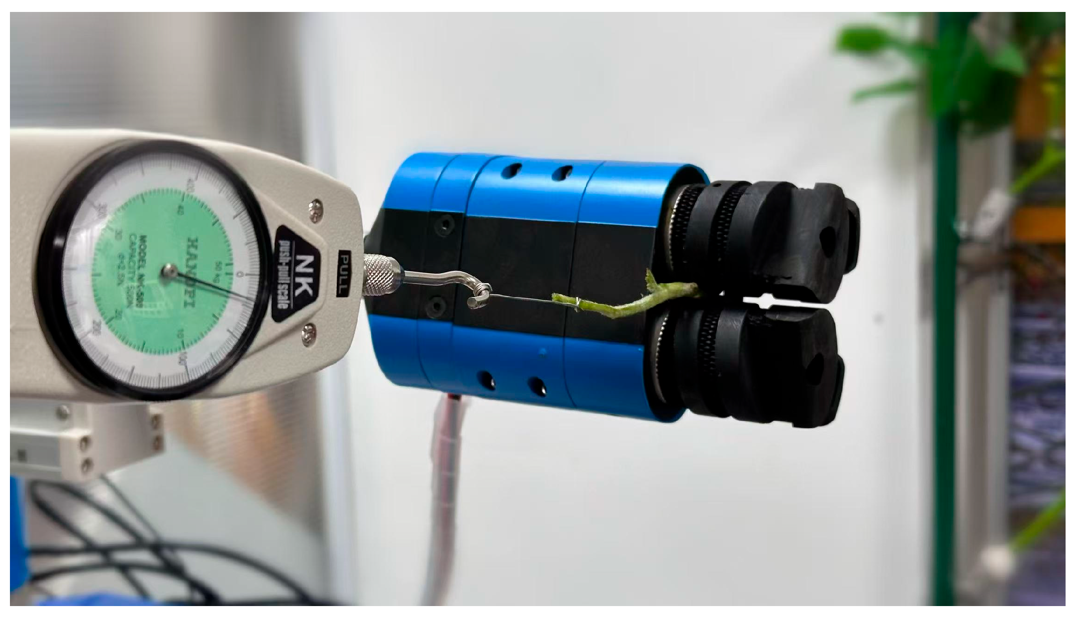 Agriculture 14 02281 g011