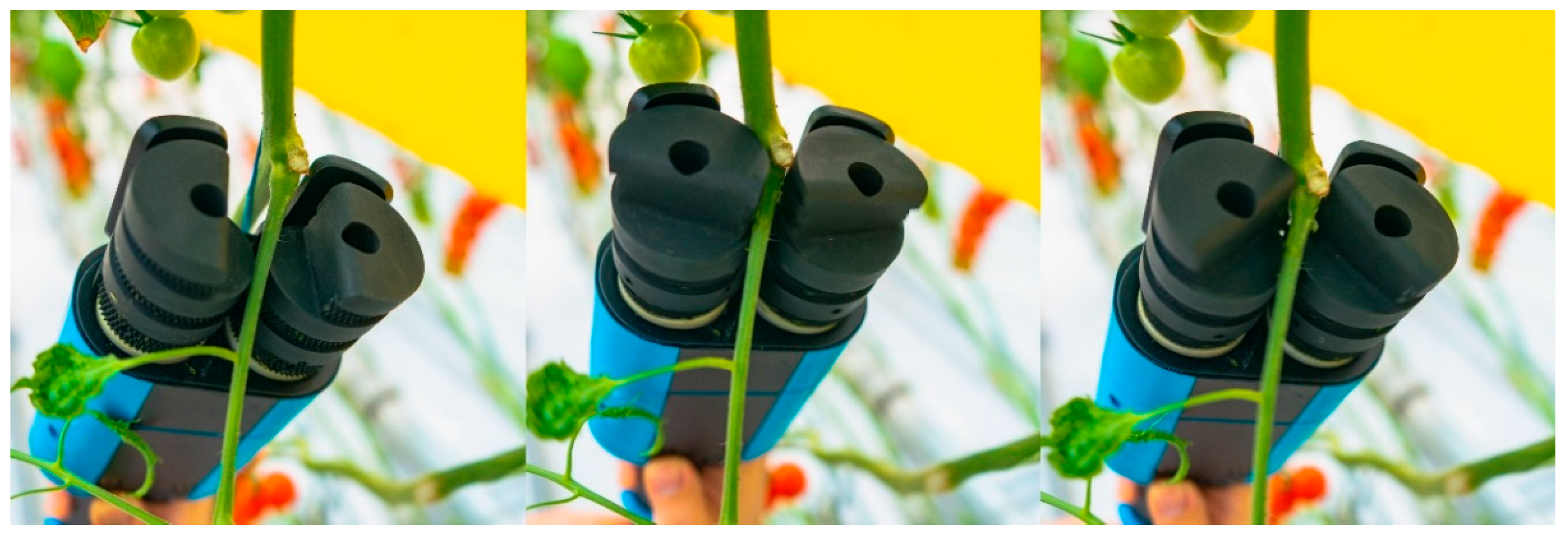 Agriculture 14 02281 g012