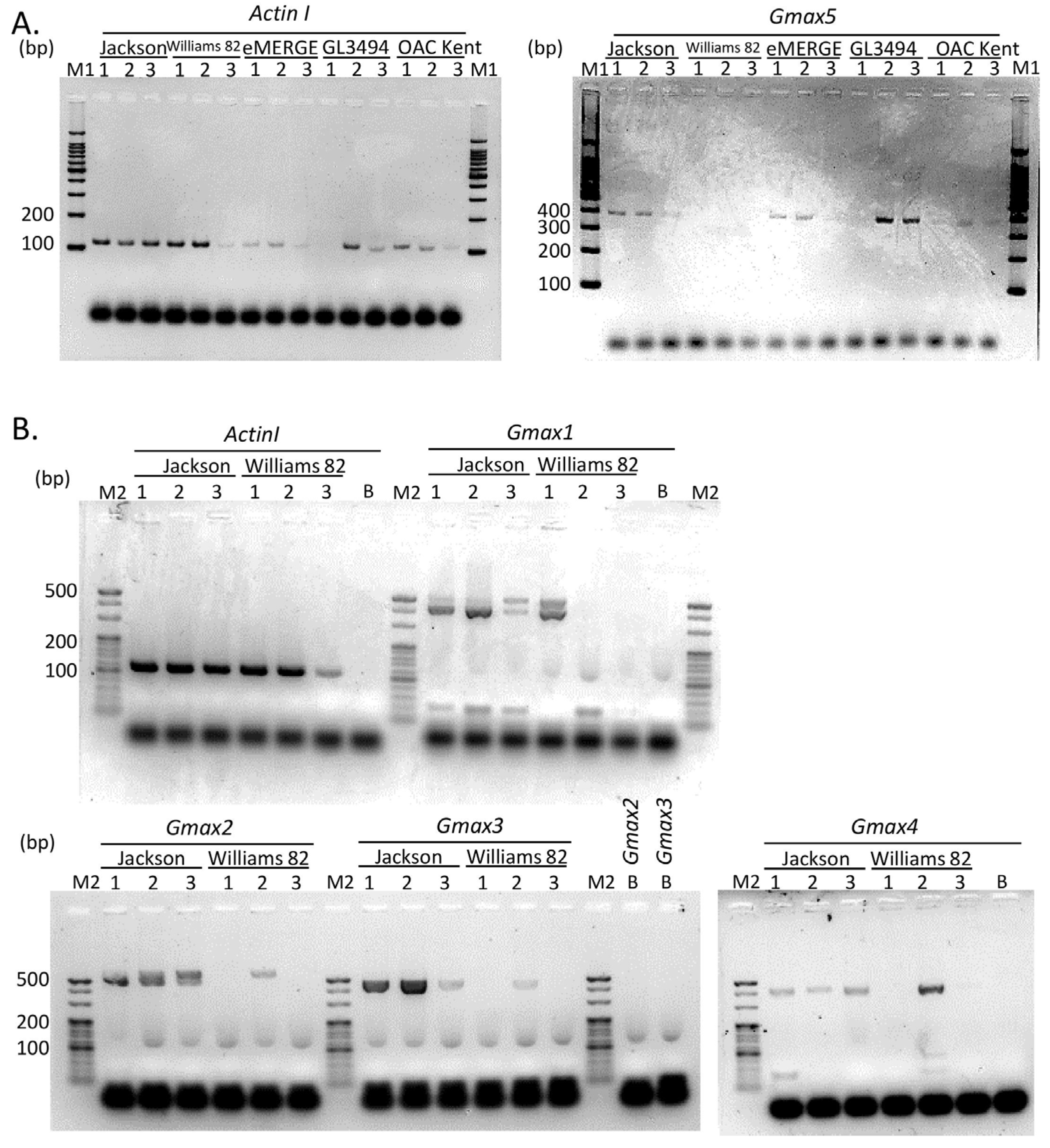 Agriculture 14 02287 g002