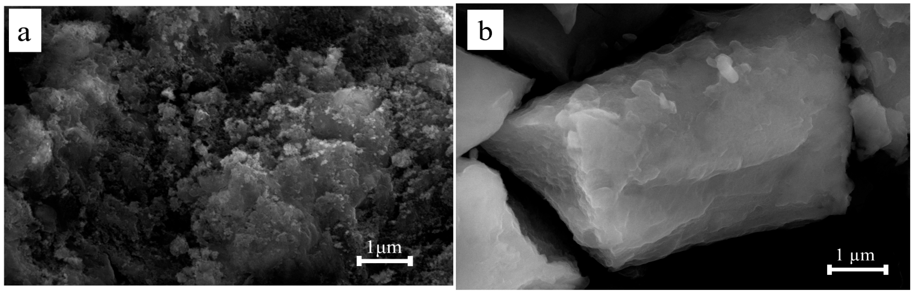 Agriculture 14 02289 g007