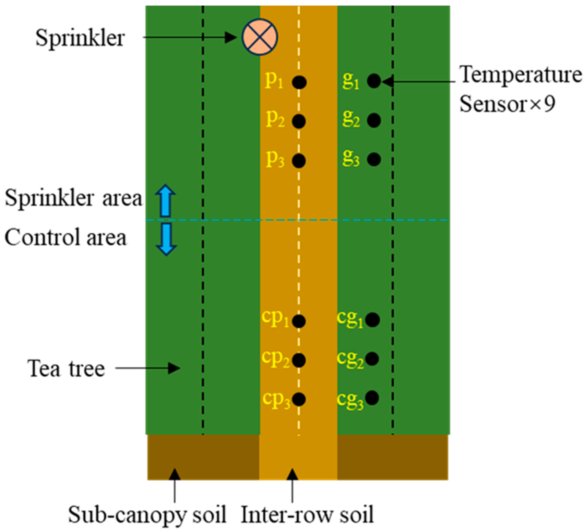 Agriculture 14 02302 g002